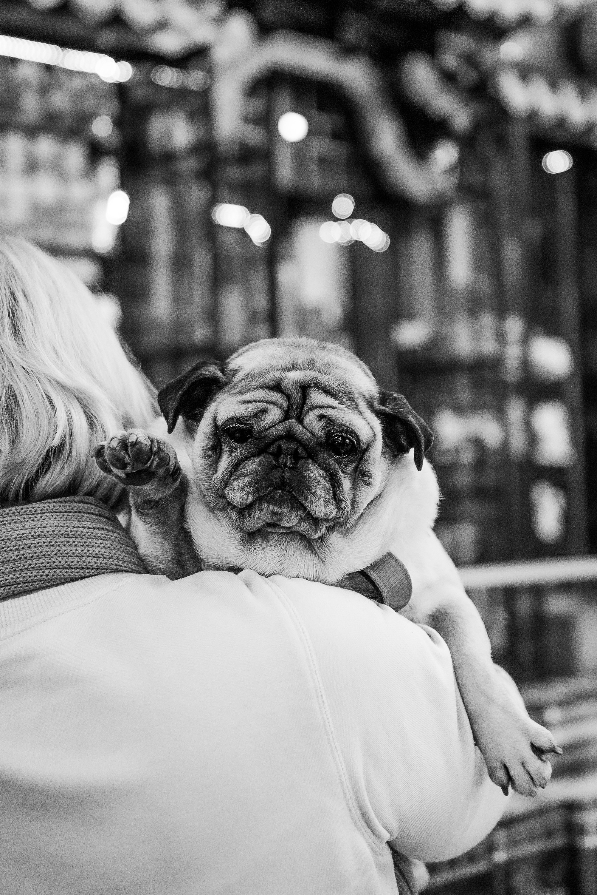 Ольга и Потапум. Прогулка к чайному дому. Семейный Фотограф в Москве Ирина Хохлова