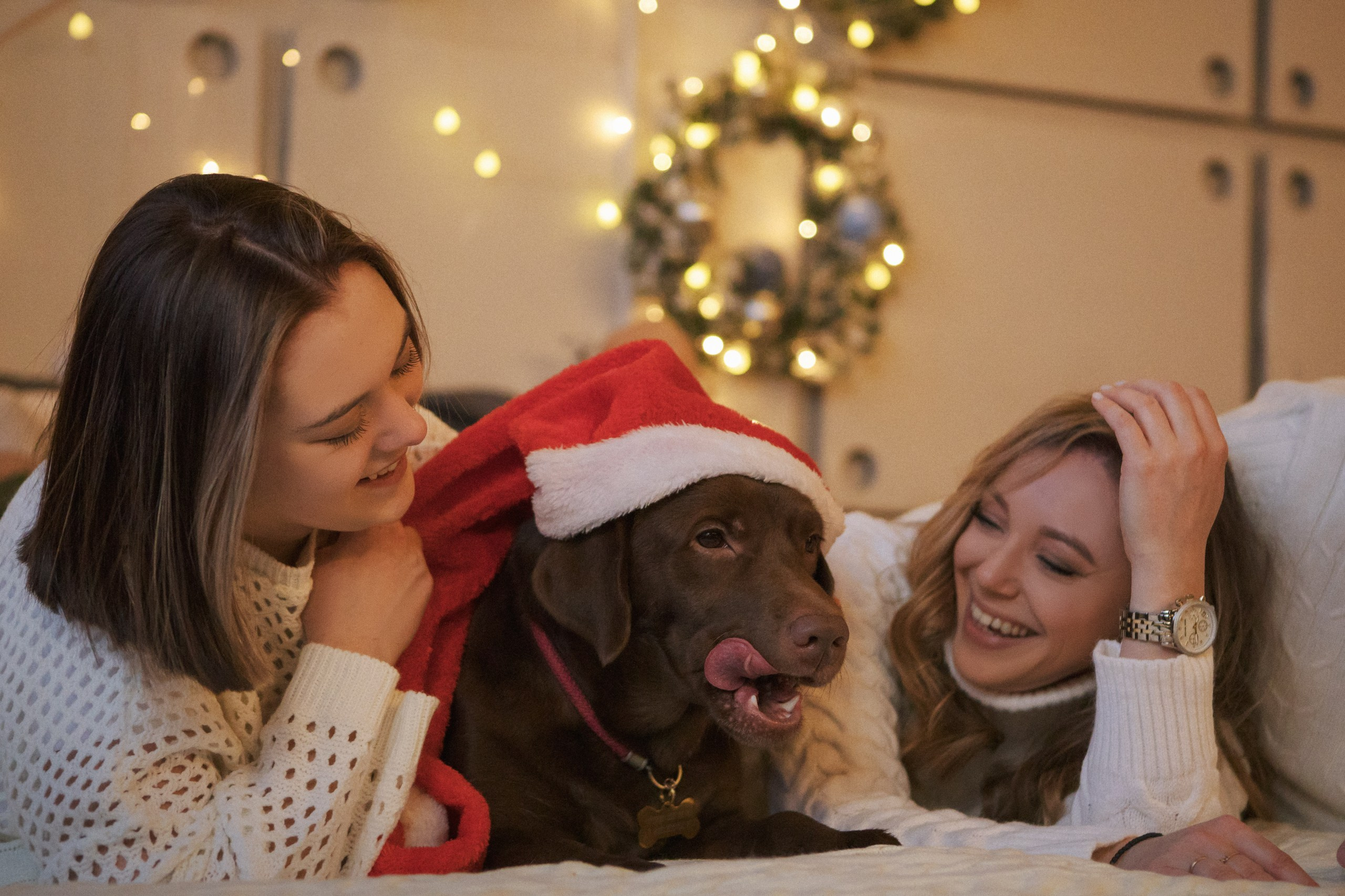 Семья Евгении. Студия. Фотограф анималист Кузнецова Анна Нижний Новгород