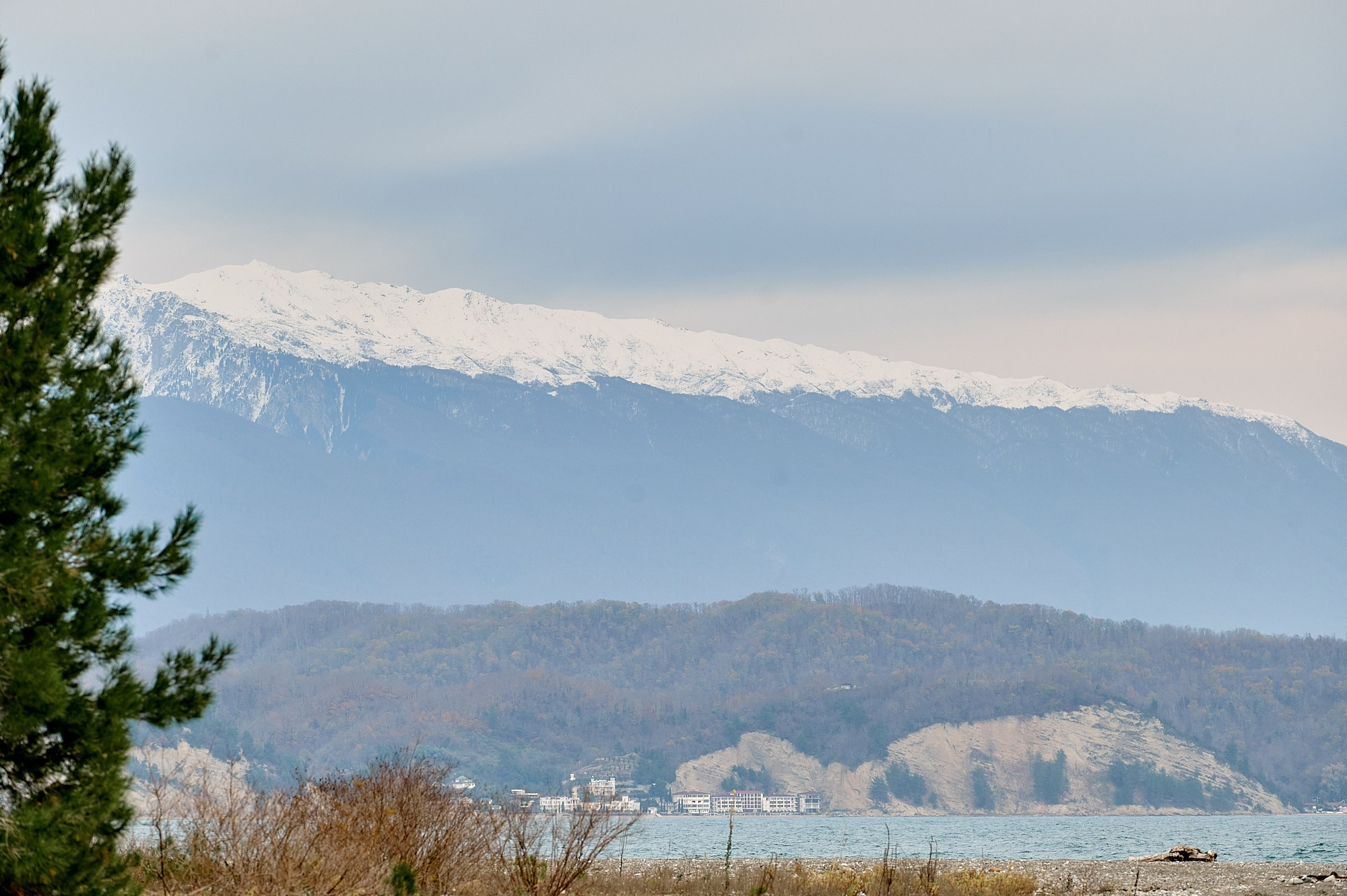 Пицунда, Абхазия. Декабрь 2024. Фотографии отовсюду и обо всем