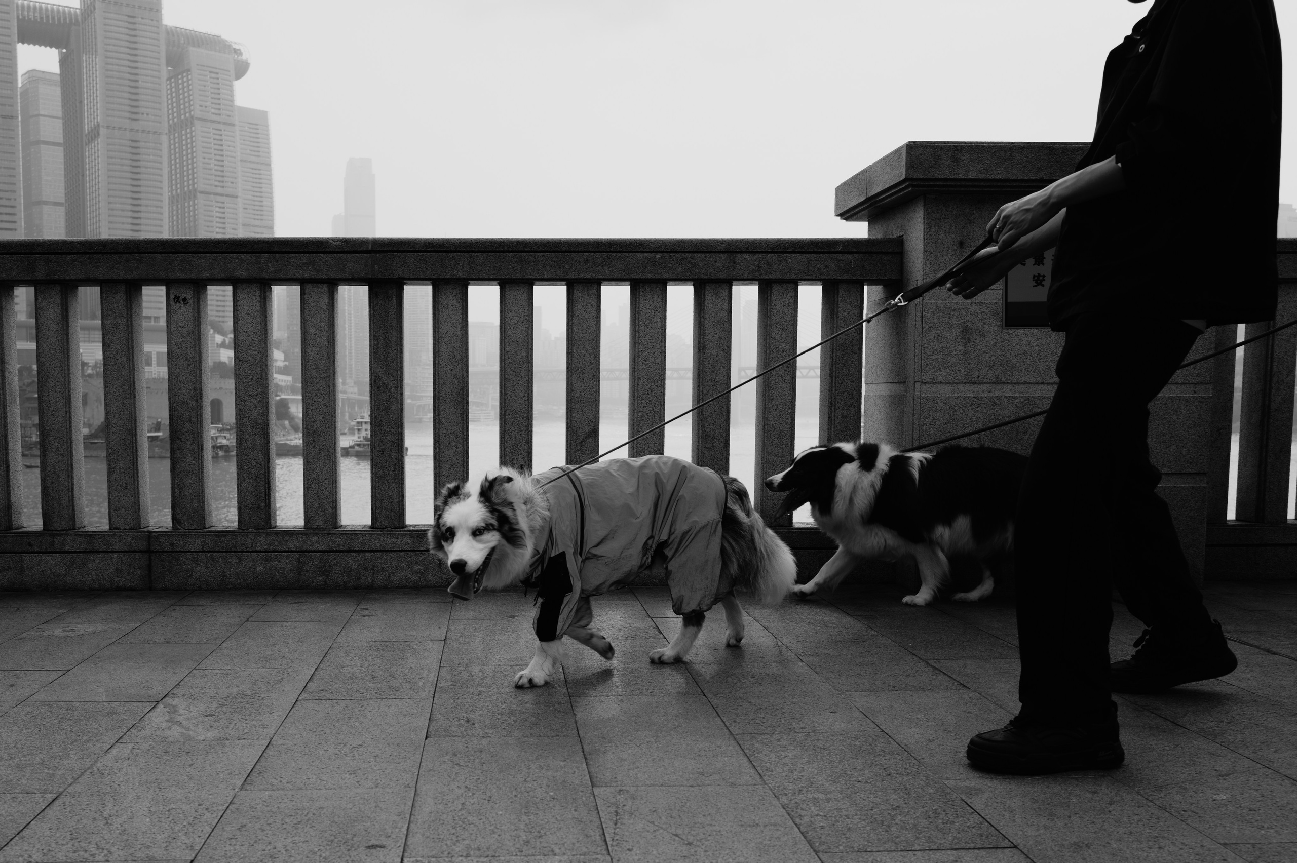 China/Китай. @tomrus: Рустам Шагиморданов — фотограф