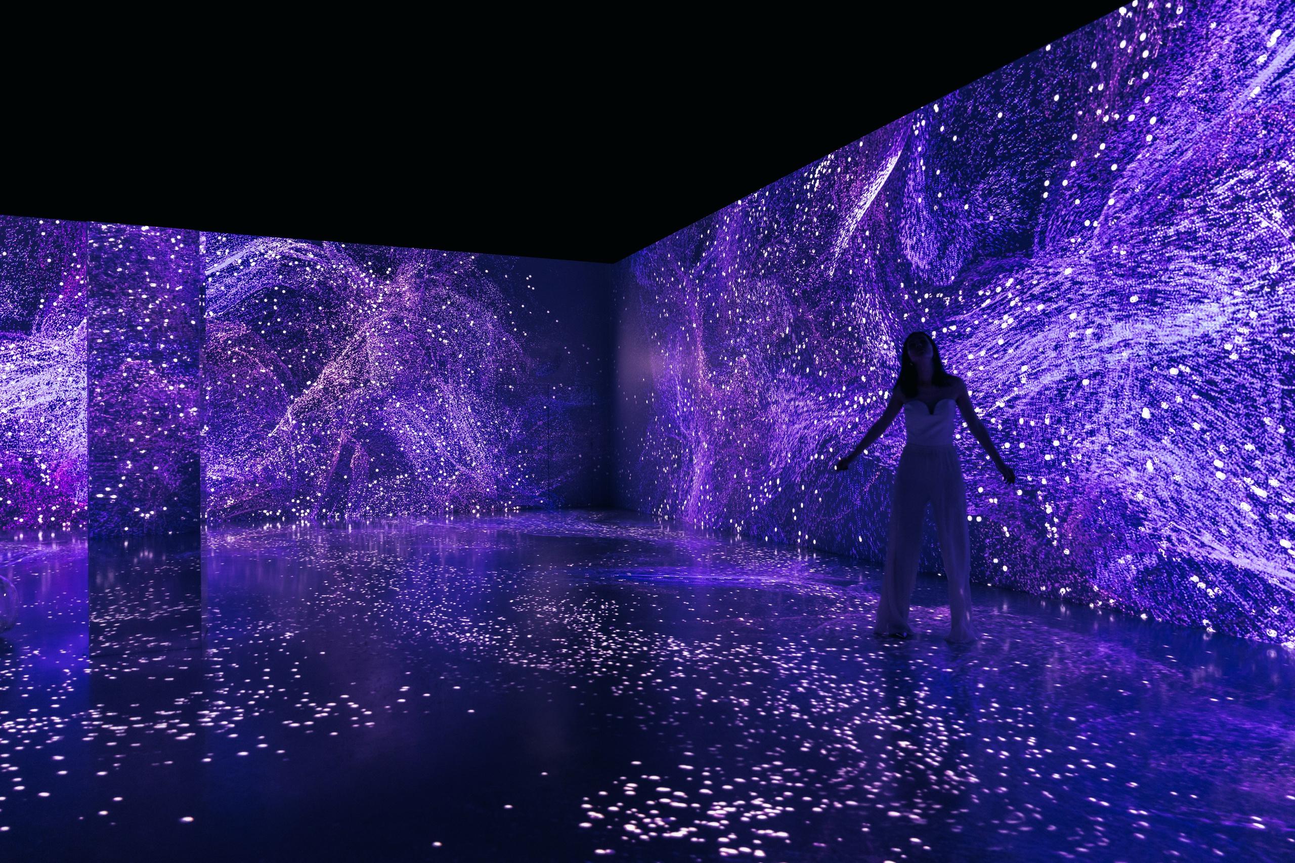 VI Ocean, Tutankhamun, SILA SVETA. @tomrus: Рустам Шагиморданов — фотограф