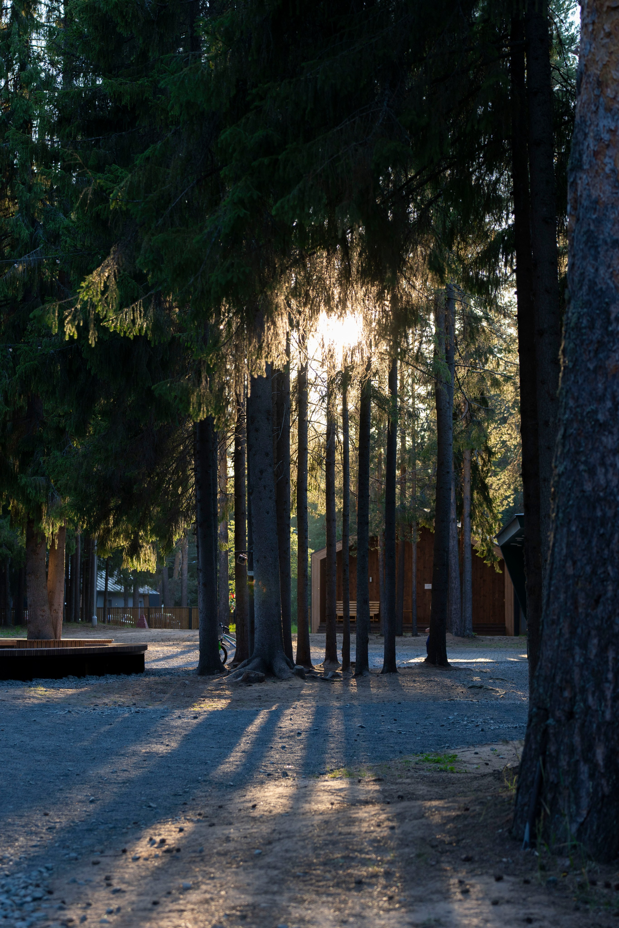 Capoeira Camp. Фотограф Киров Токарева Марина