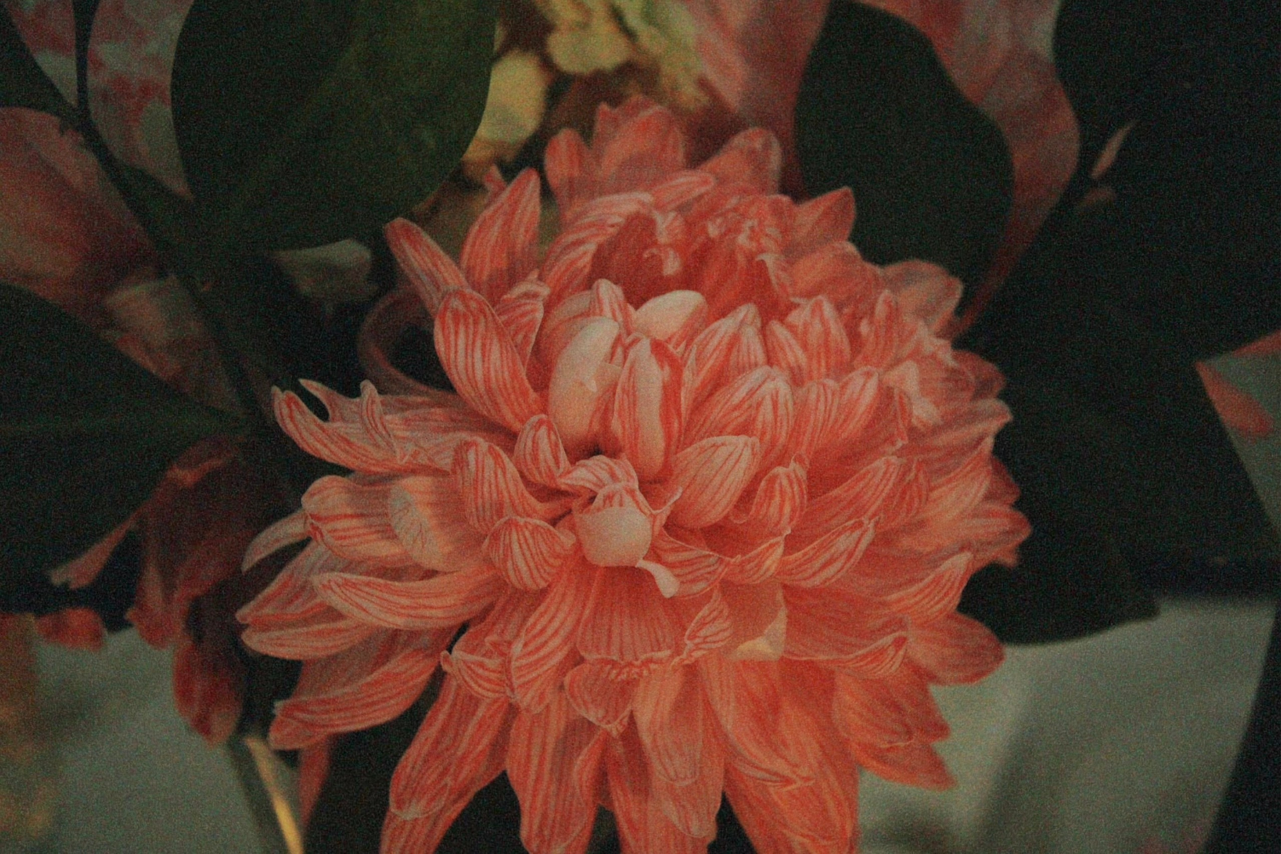 Alyóna. Портретный фотограф Тольятти