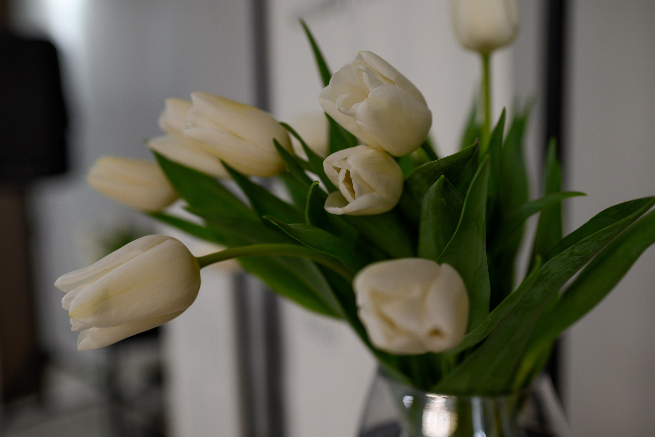 Станислав Ольга Голубой Залив. Свадебный фотограф Анна Хочева