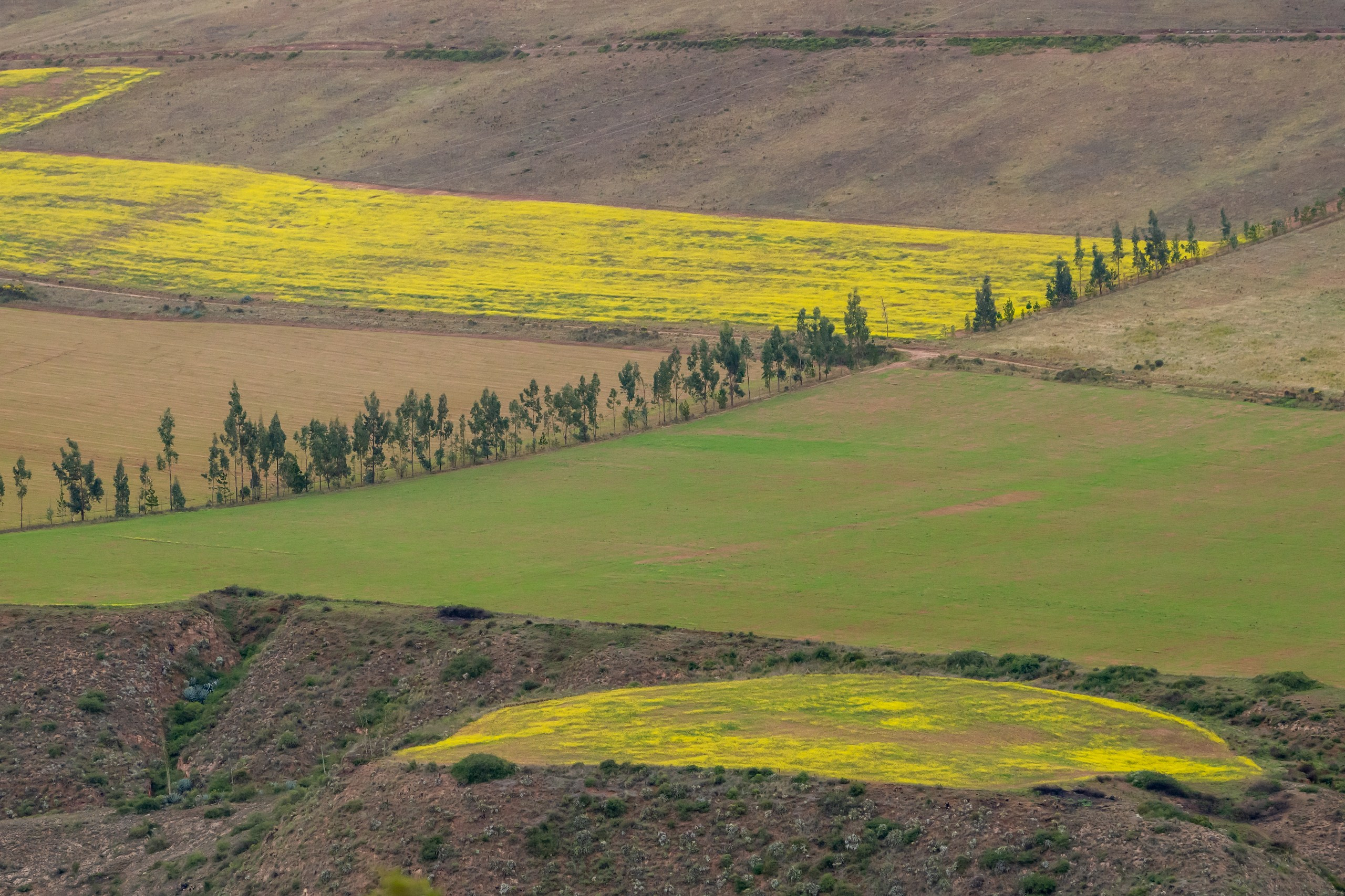 Перу. Foto-Zuev фотография как искусство