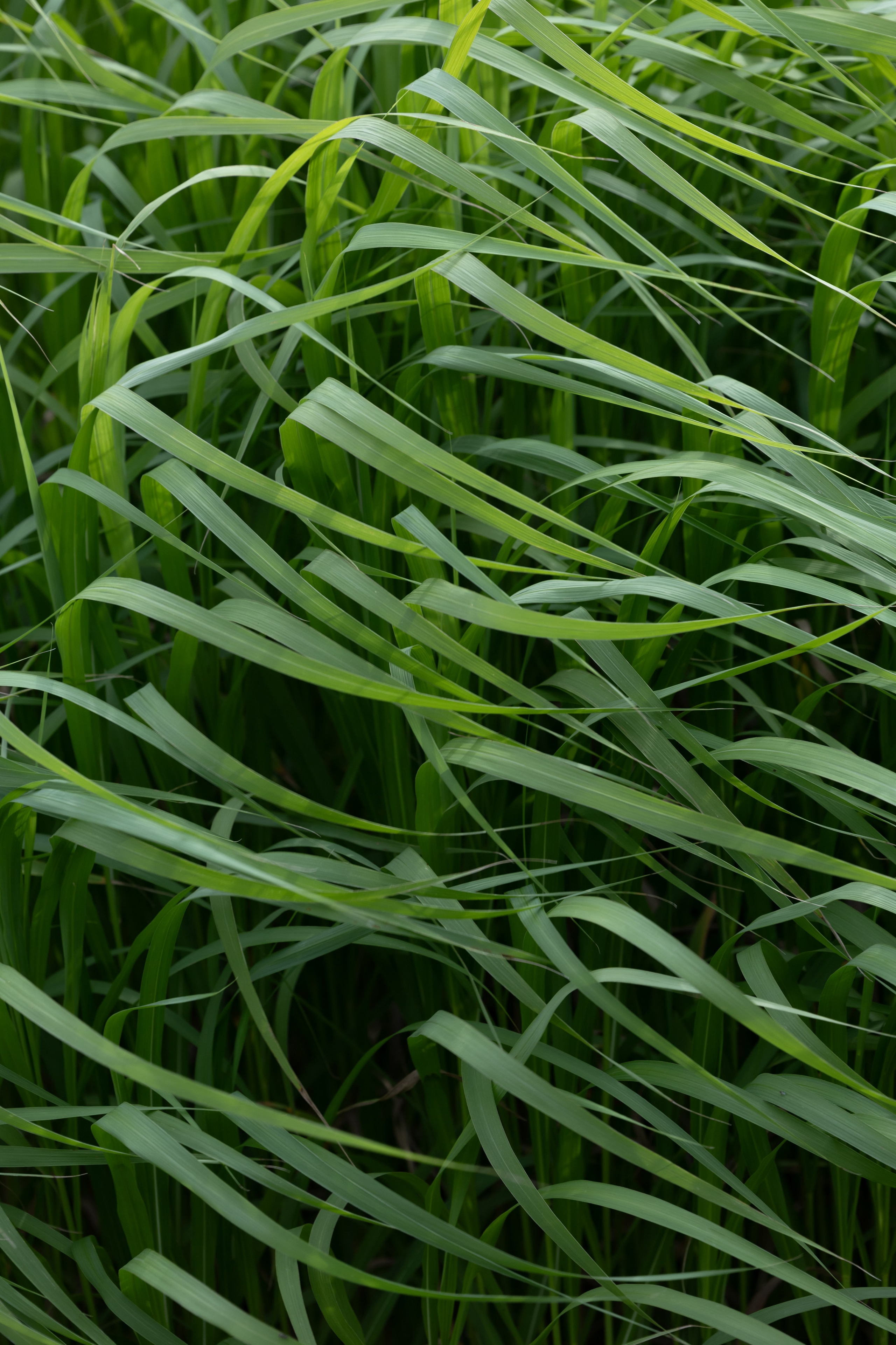 Михаил & Виктория. Обо мне