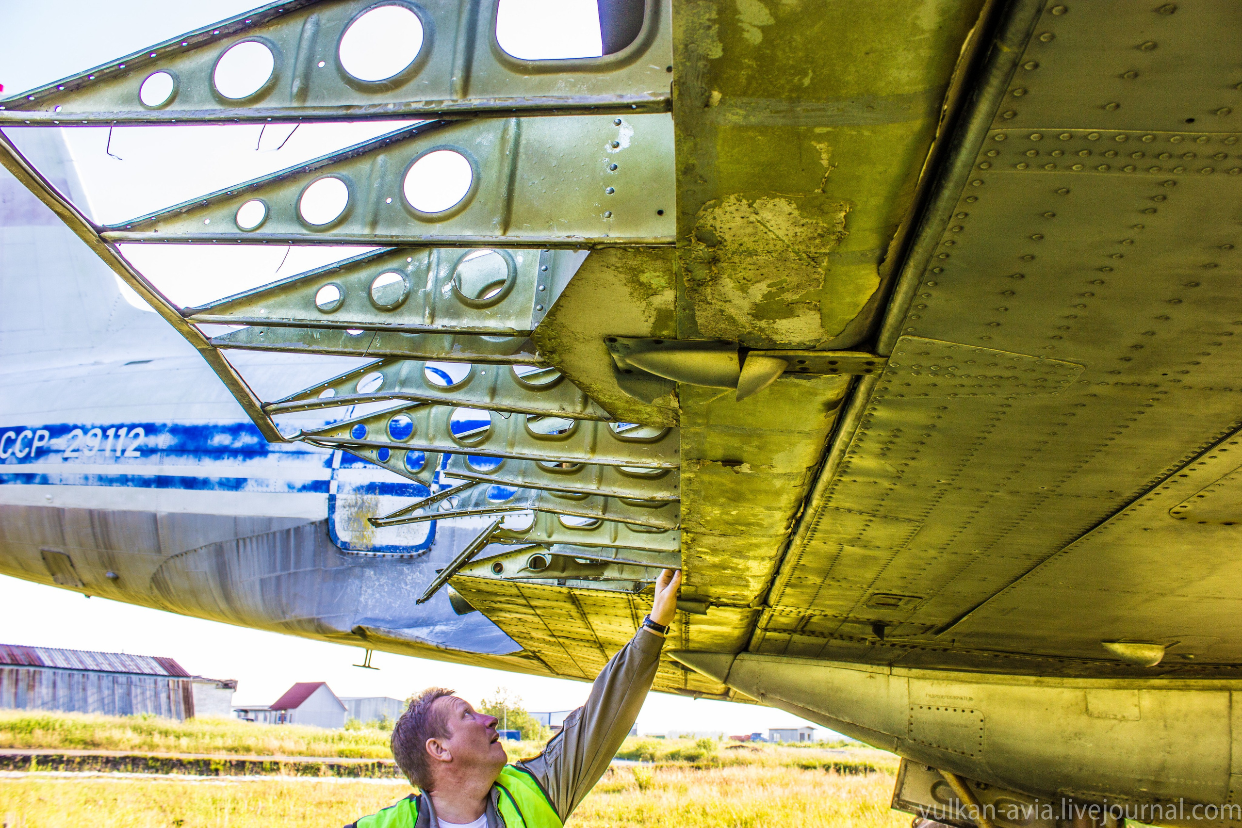 Ил-14 (Пермь, Фролы). Фотоальбом показывающий увлекательный мир авиации и мир медведей Андрея Иванова