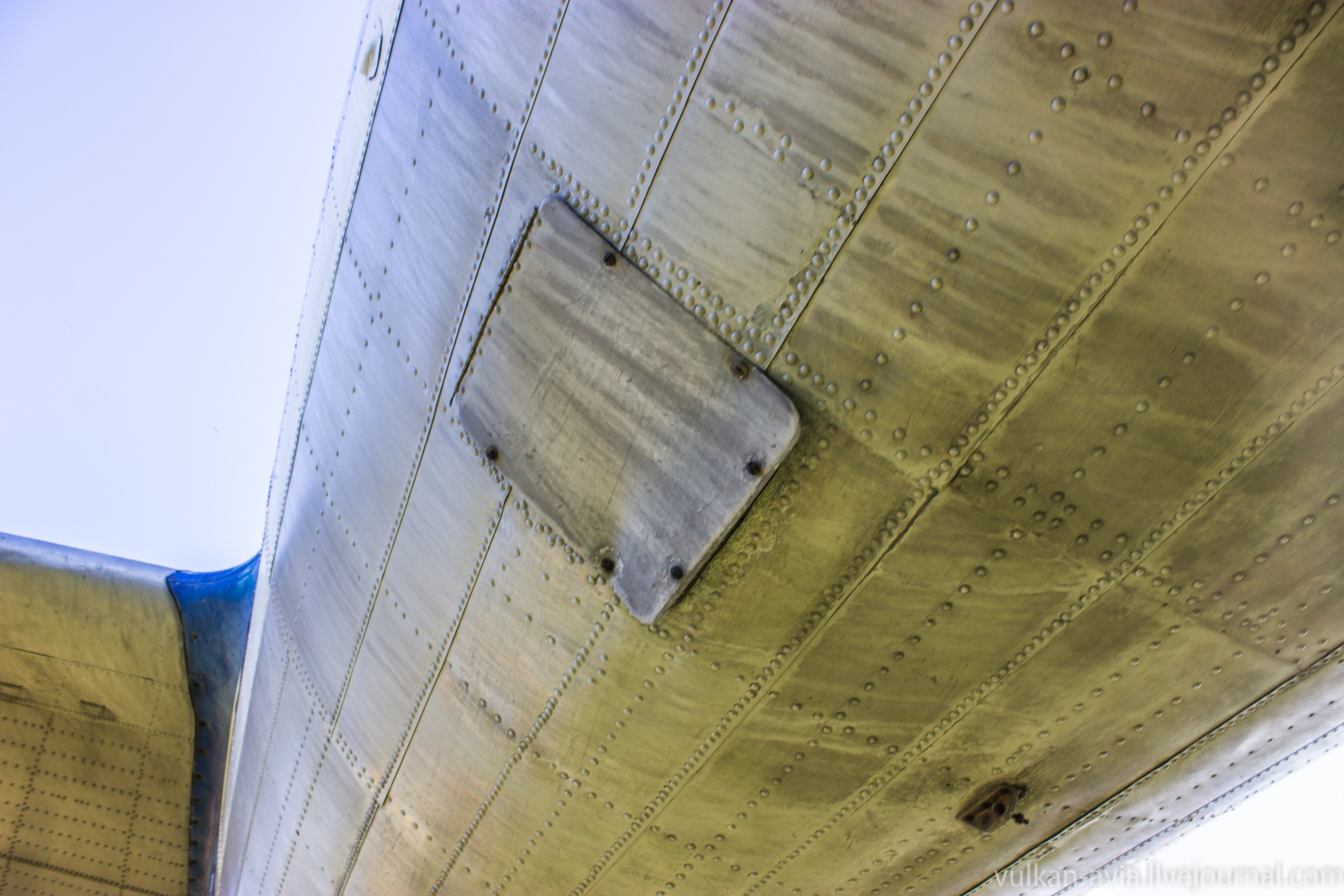 Ил-14 (Пермь, Фролы). Фотоальбом показывающий увлекательный мир авиации и мир медведей Андрея Иванова