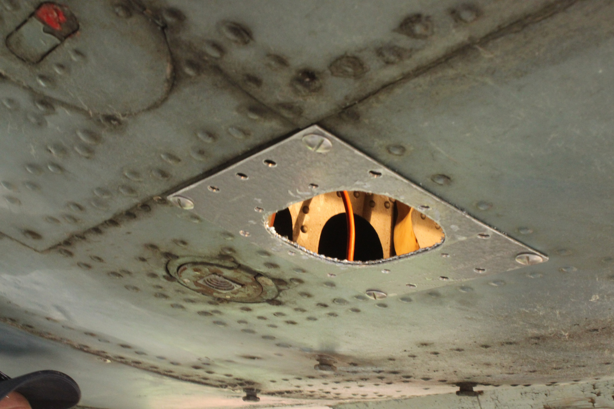 Ил-14Т «Голубая Мечта» работы в Тушино (2011 г.). Фотоальбом показывающий увлекательный мир авиации и мир медведей Андрея Иванова