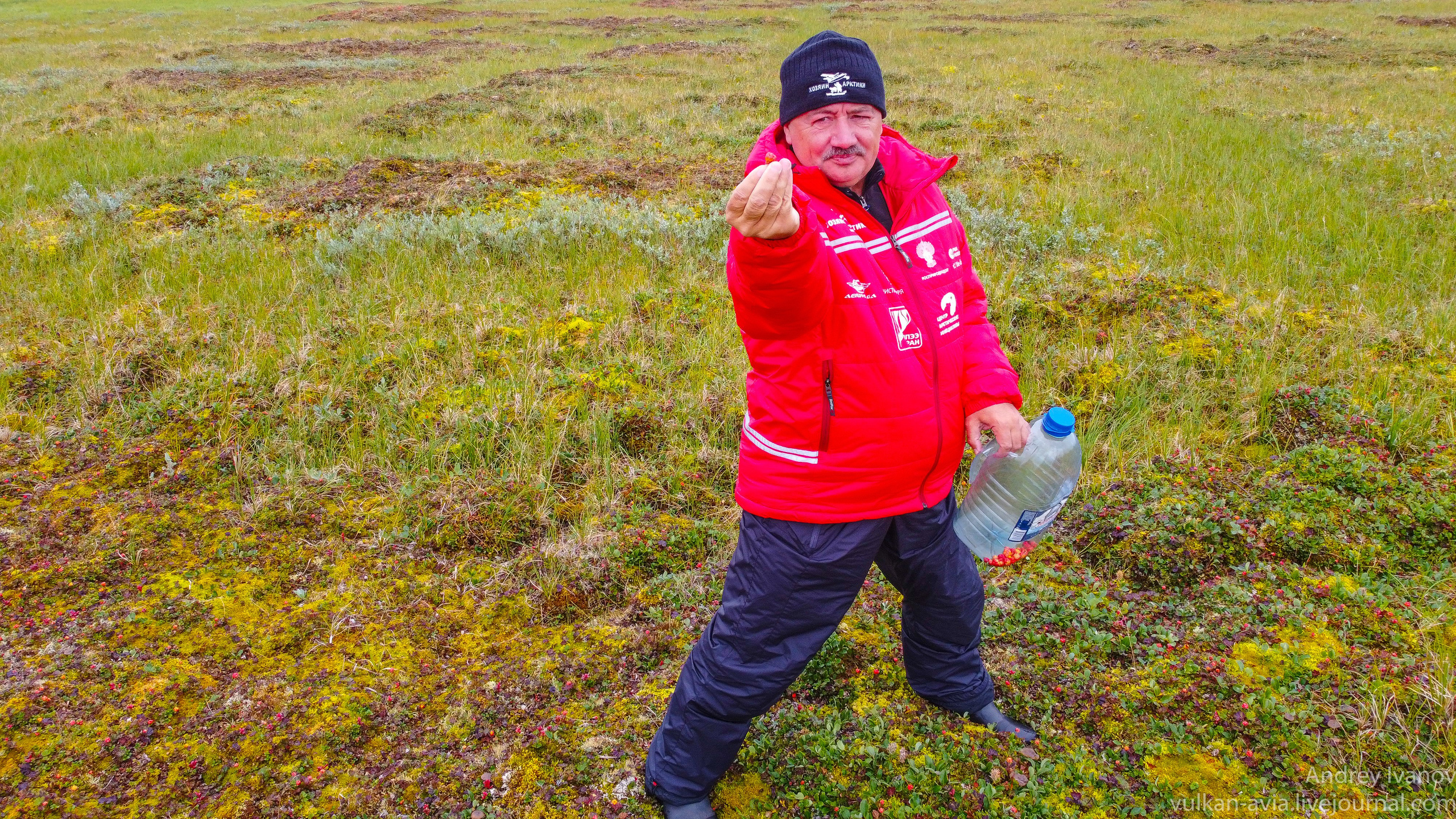 Амдерма — наука (2020 г.). Фотоальбом показывающий увлекательный мир авиации и мир медведей Андрея Иванова