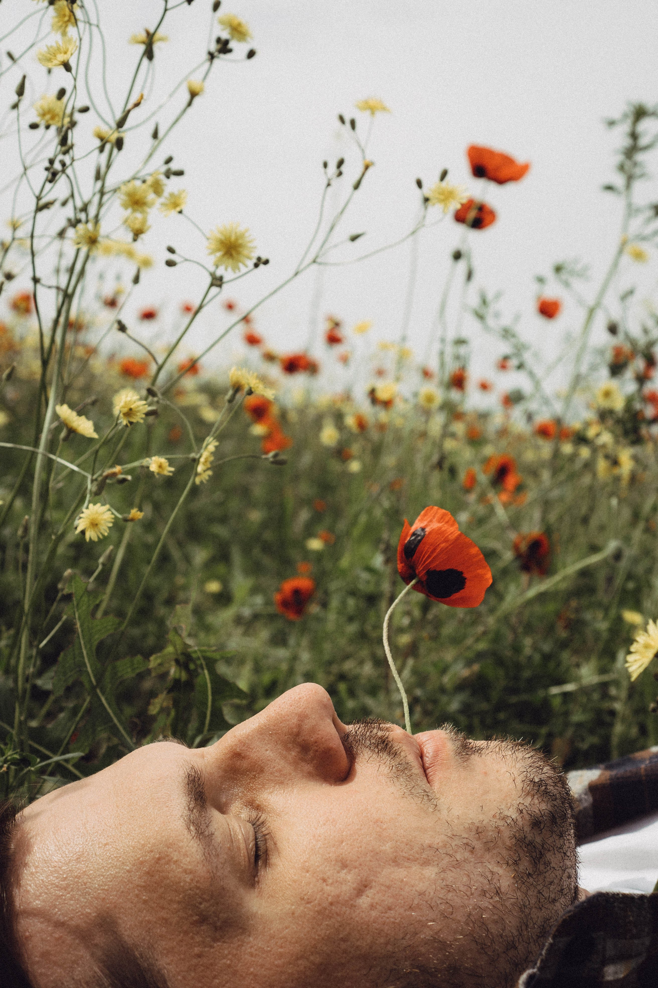 Маки. Профессиональный фотограф, Санкт-Петербург — Виктория Богомолова