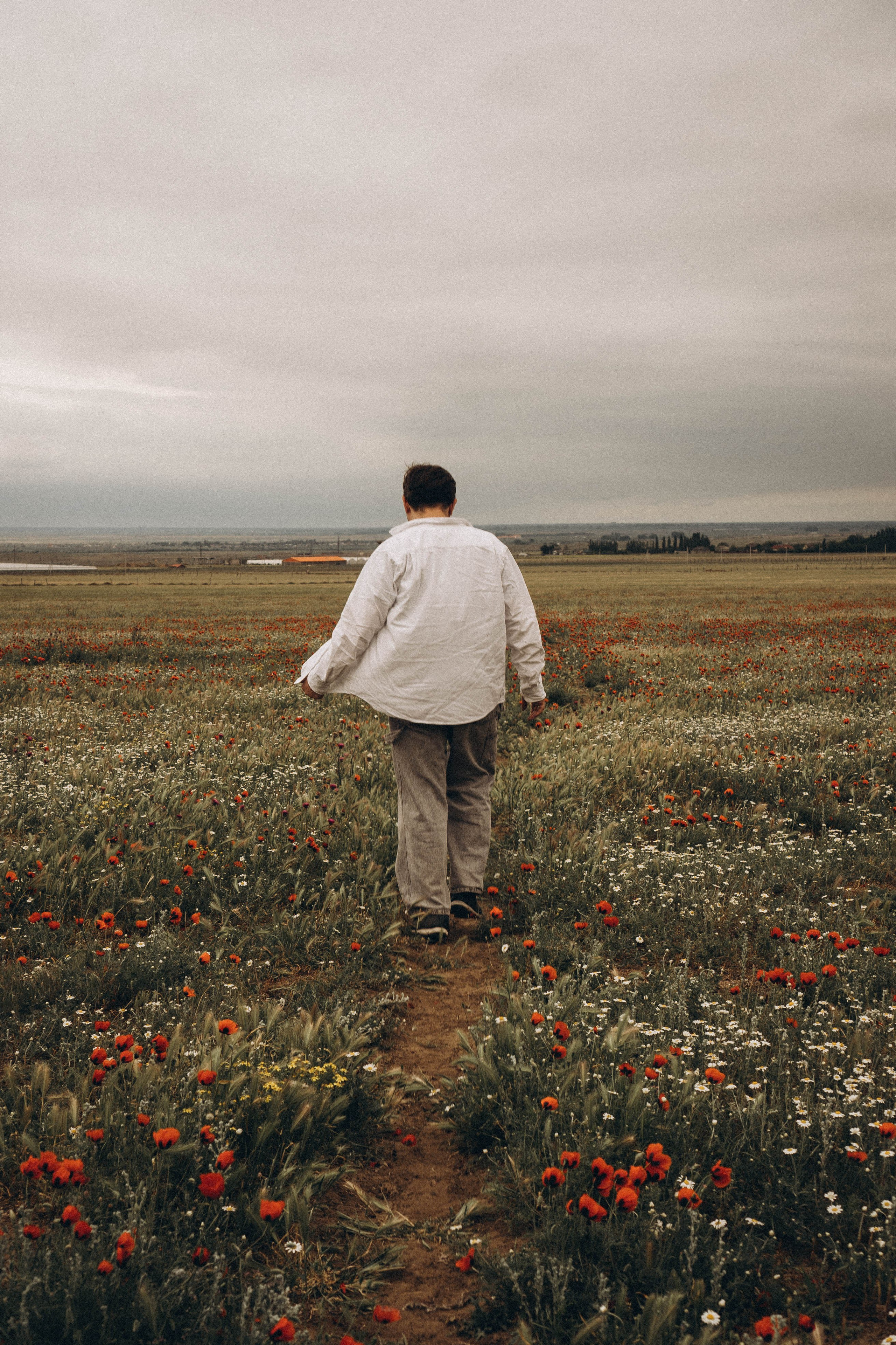 Маки. Профессиональный фотограф, Санкт-Петербург — Виктория Богомолова