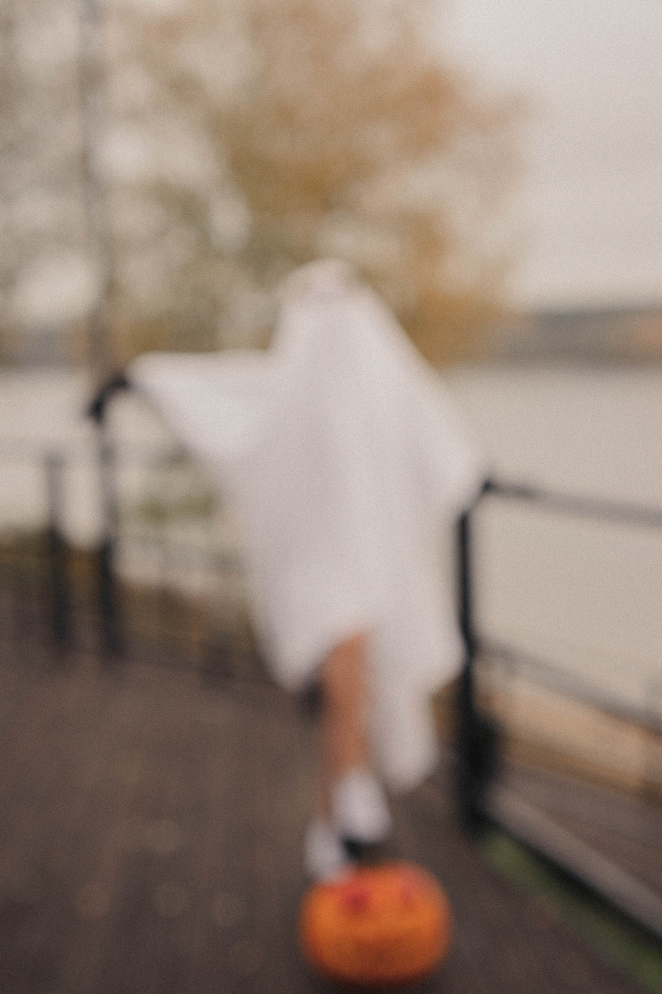 Осеняя. Профессиональный фотограф, Санкт-Петербург — Виктория Богомолова