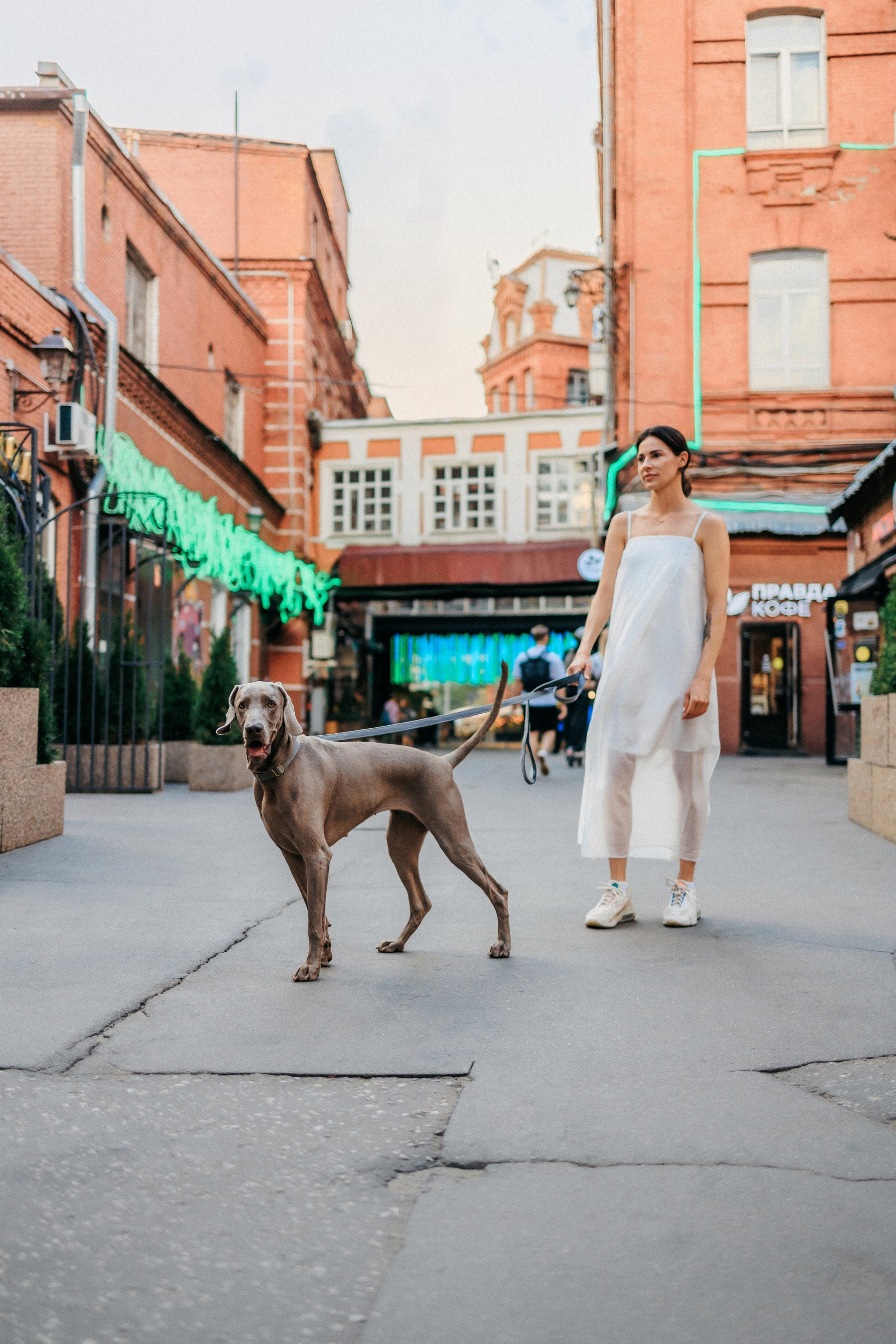 Соня и Майли. Фотограф-анималист Елена Радченко, Москва