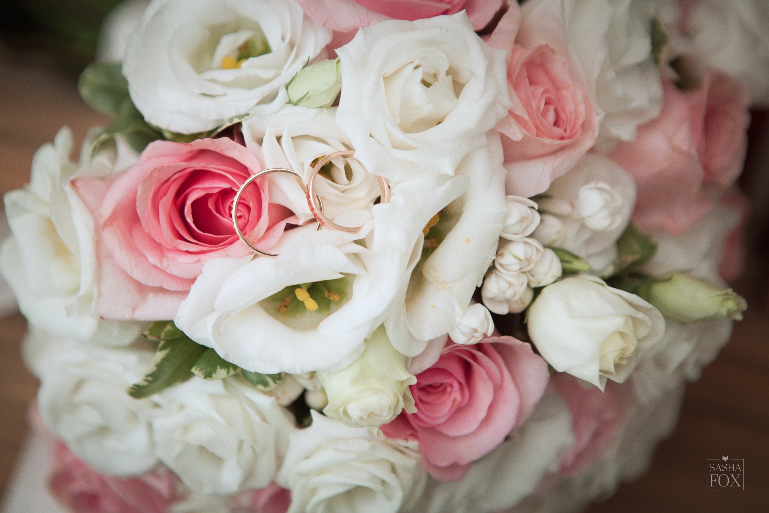 Светлана и Денис. Sasha Fox  - профессиональный фотограф из Санкт-Петербурга. Фотосессия