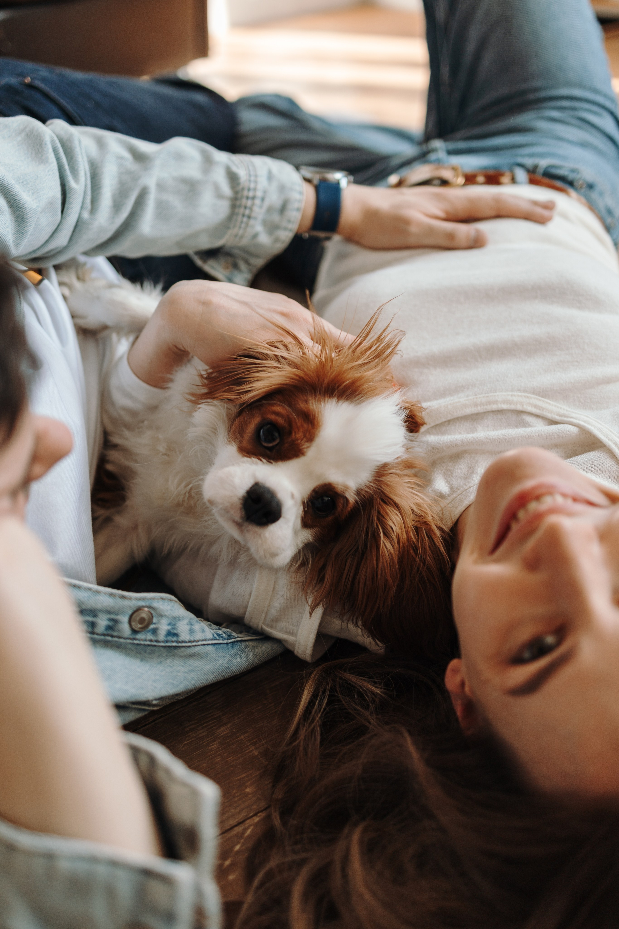 Плуто и его семья. Фотограф — Анималист | Санкт-Петербург