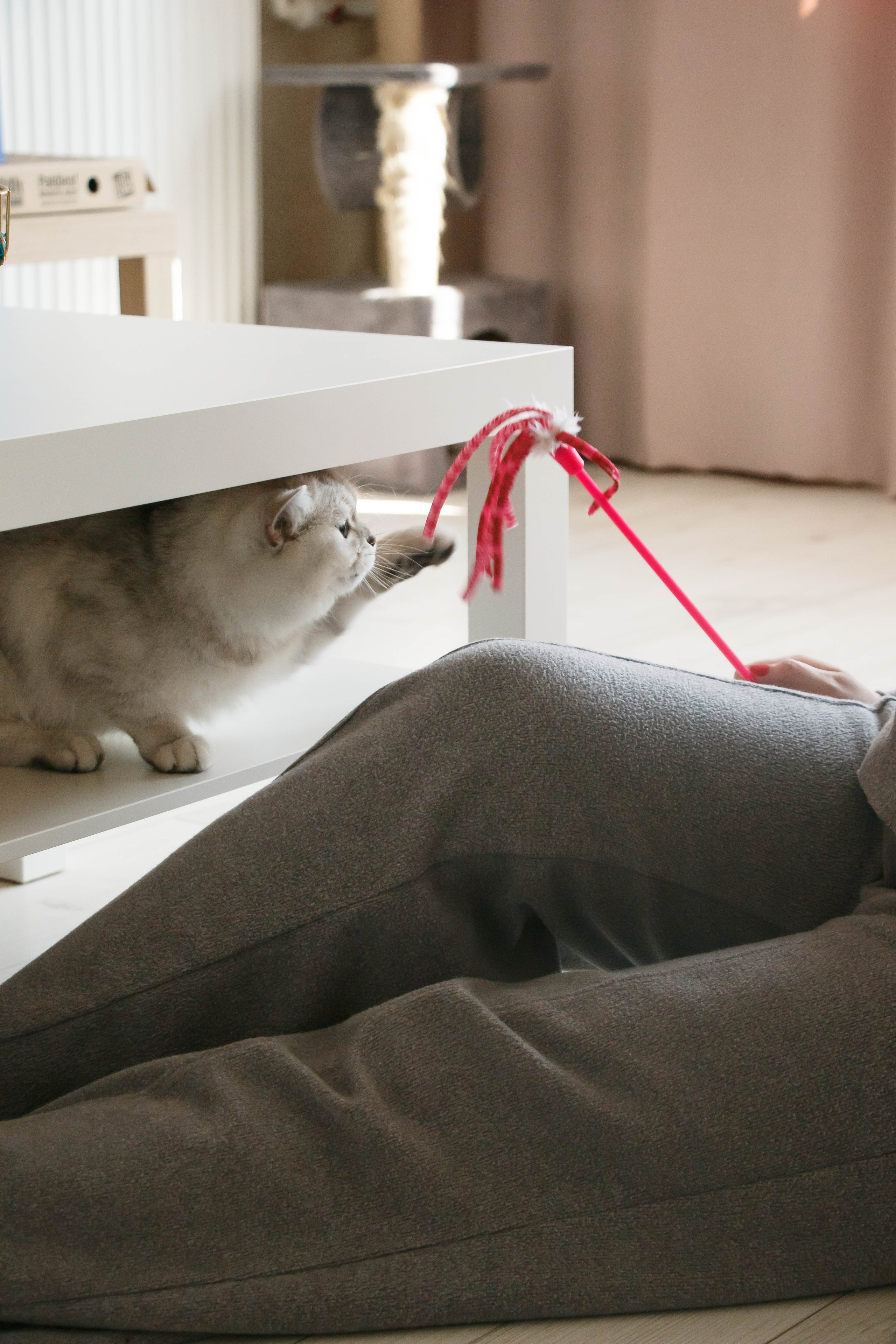 NASTYA & KITTI. Бережно сохраняю ваши чувства и истории на своих фотографиях