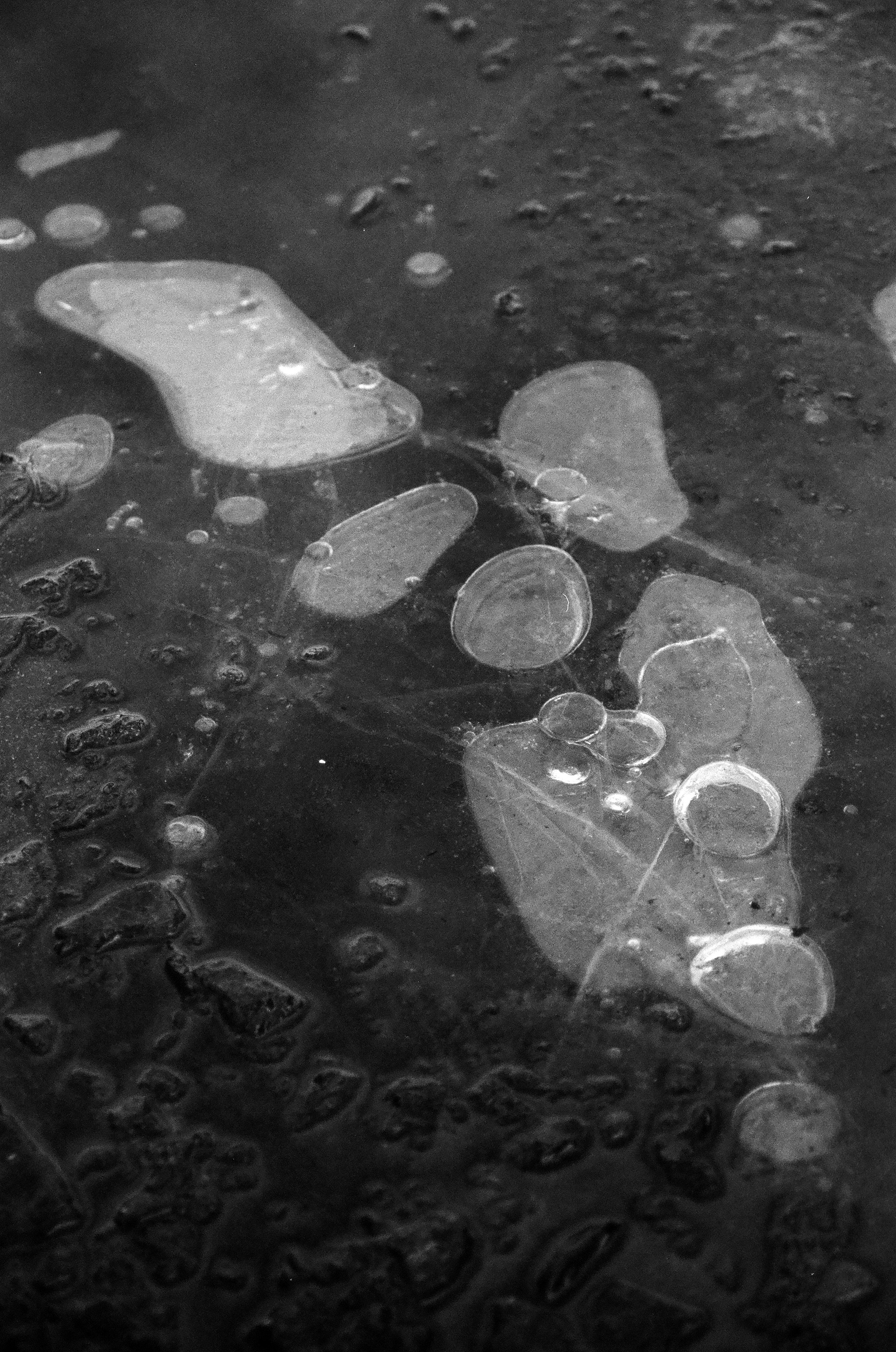 ON THE GO. Сocoobird || Атмосфера твоего бренда в снимках и видео