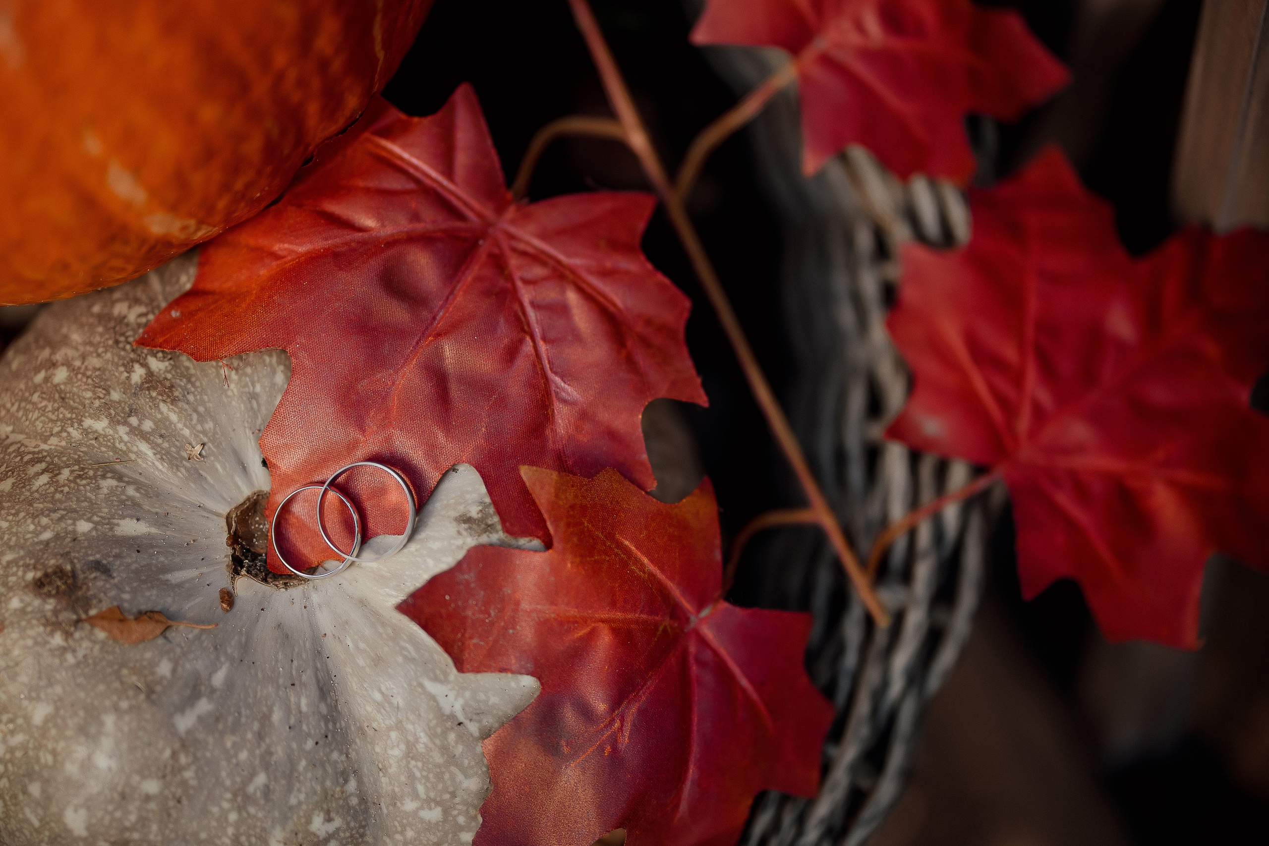 Свадебная съемка. Свадебный фотограф