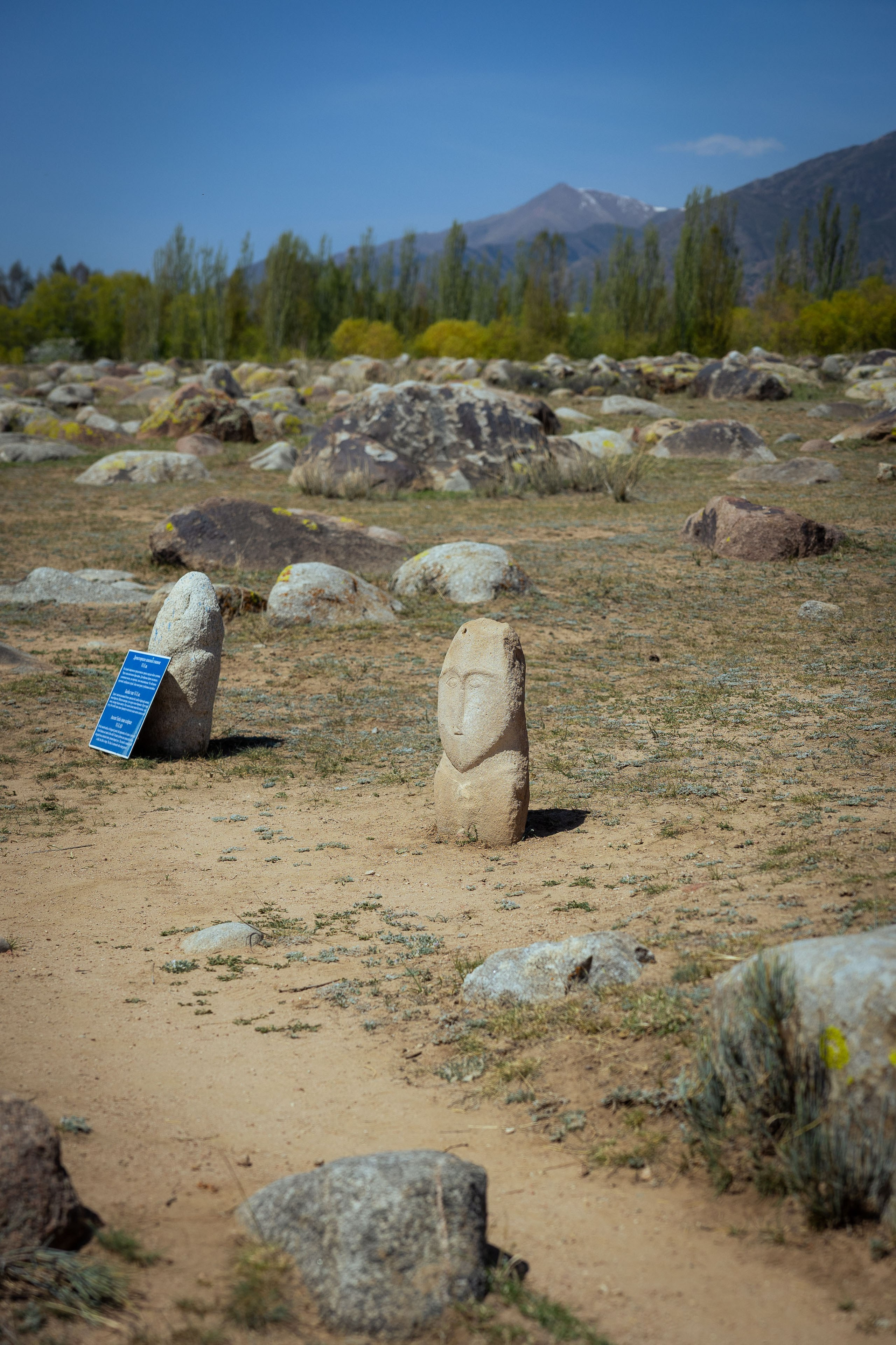 Кыргызстан (весна 2025). Фотограф Виноградов Константин