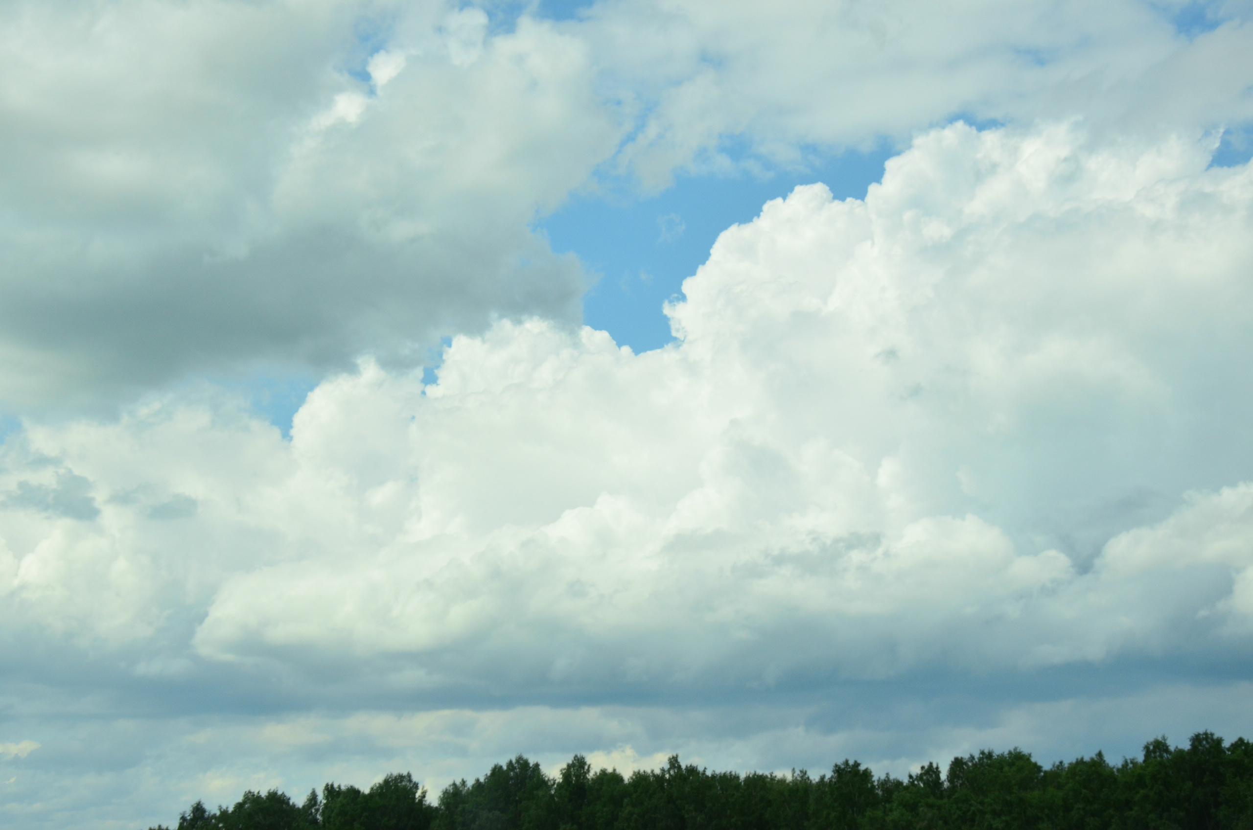 Дары природы. Фотограф viktor viktor