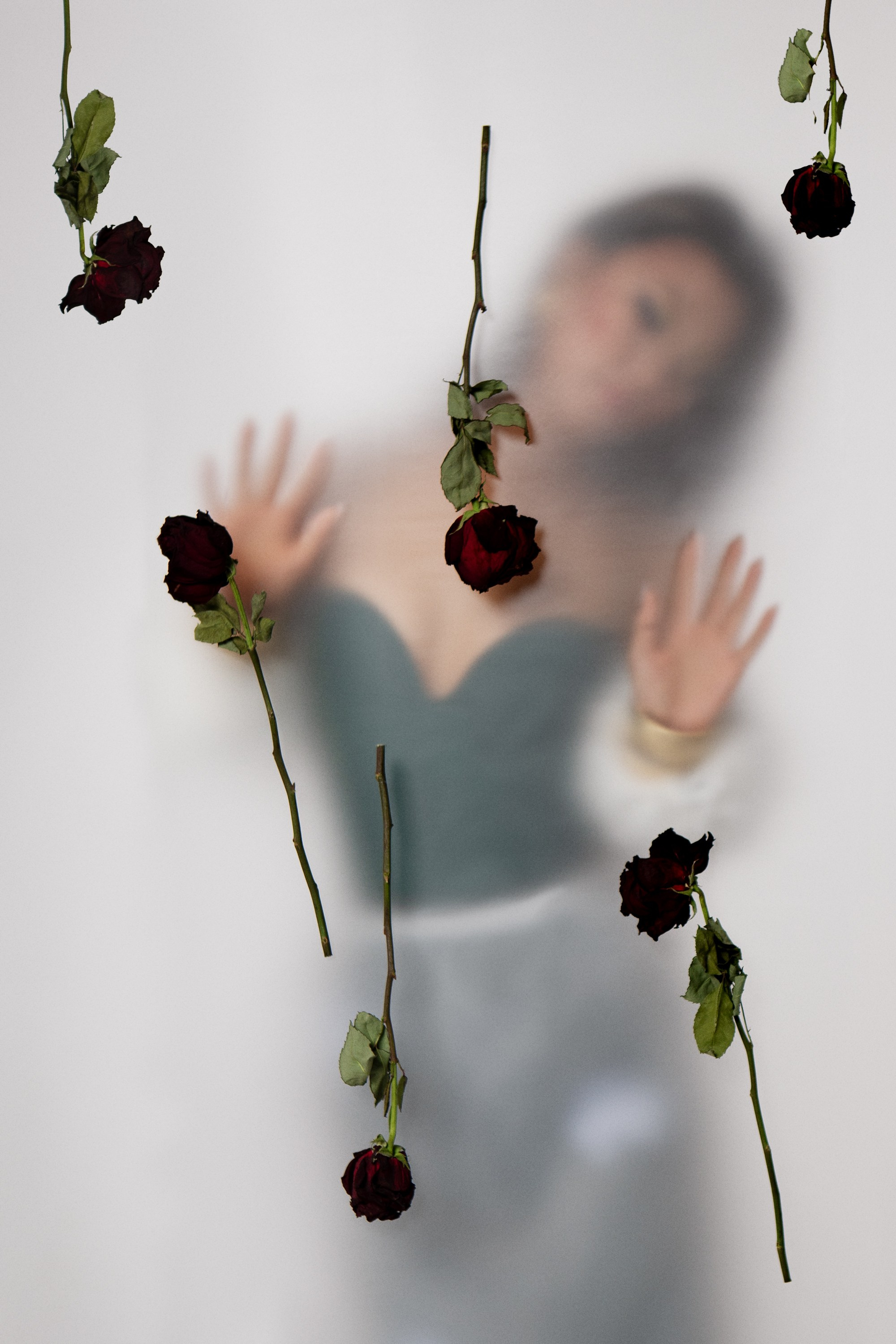 FLOWERS. ANASTASIA SYUTKINA PHOTOGRAPHY