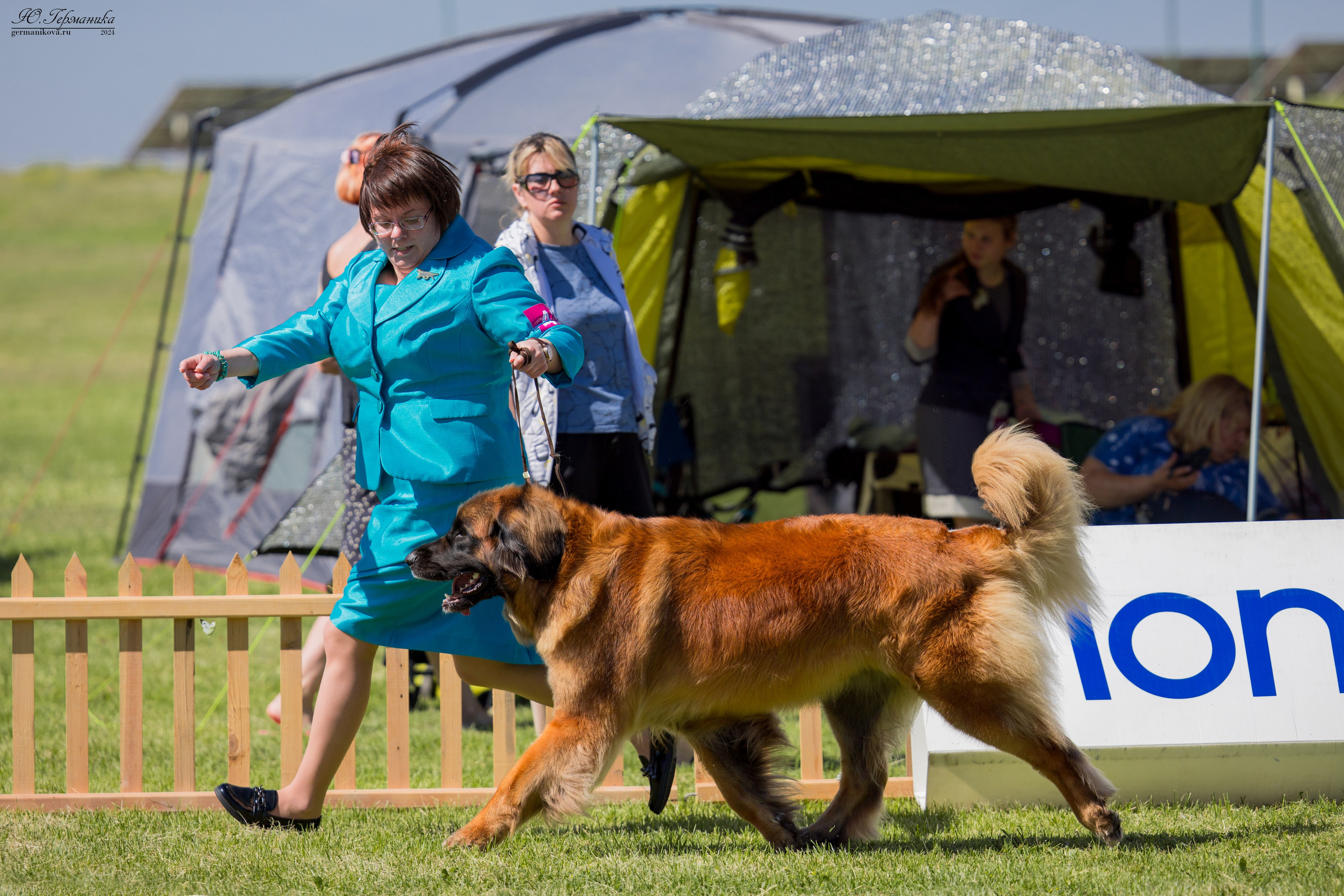 Ереван 3-5.06.2024. Фотограф-анималист Юлия Германика