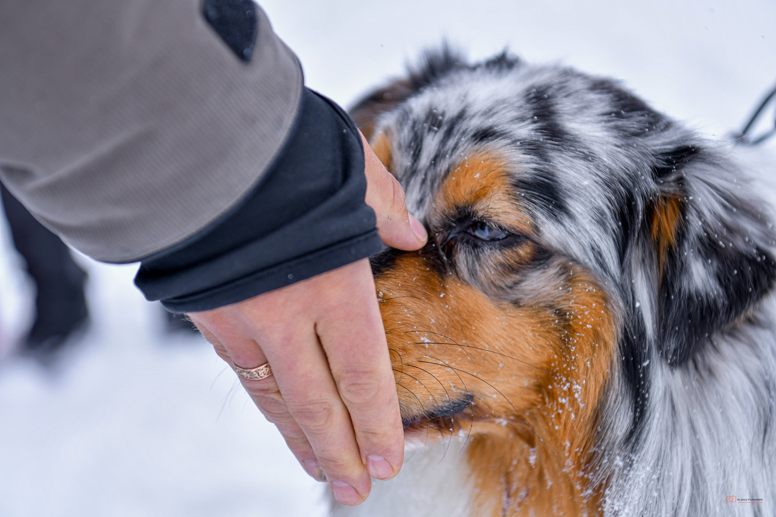 Зима. Свой взгляд через объектив