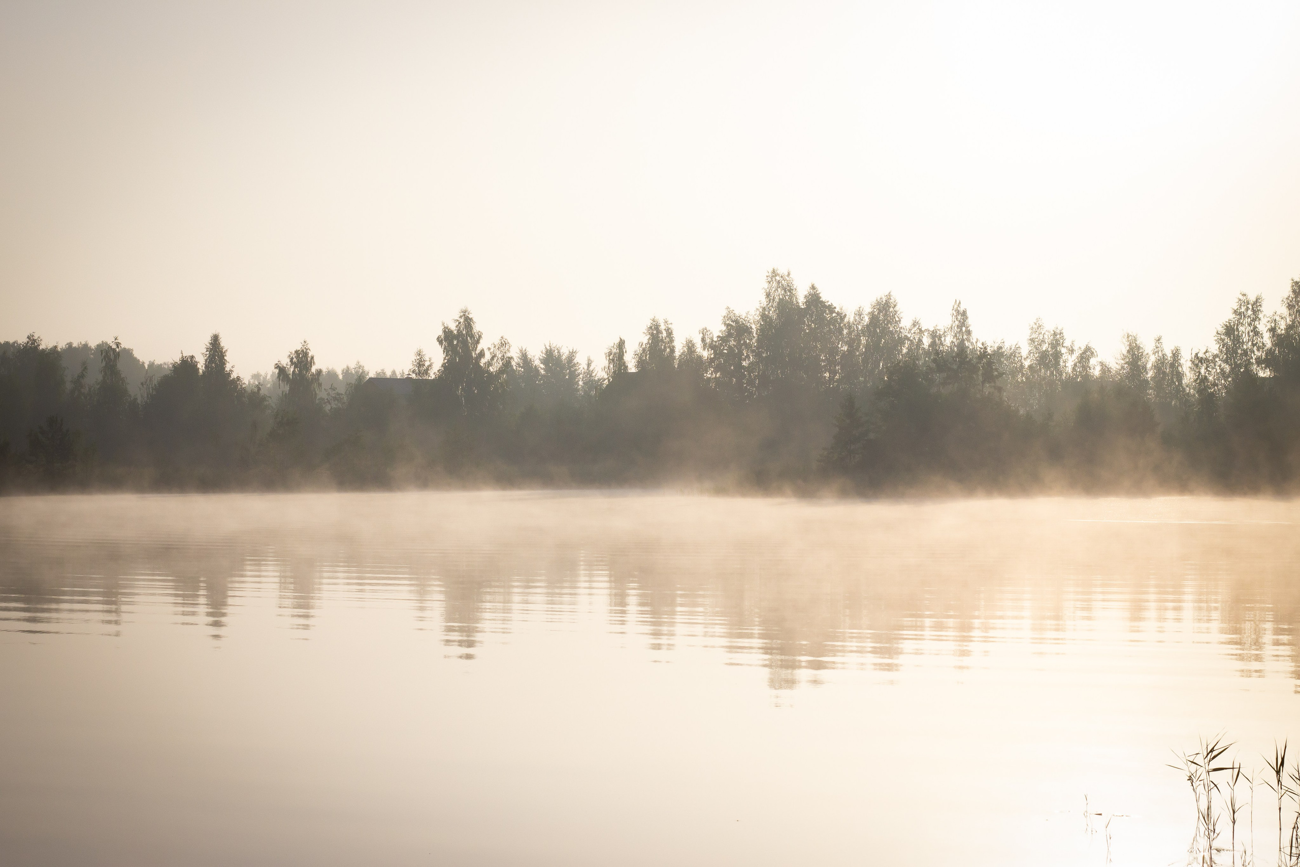 Природа. Polyframe