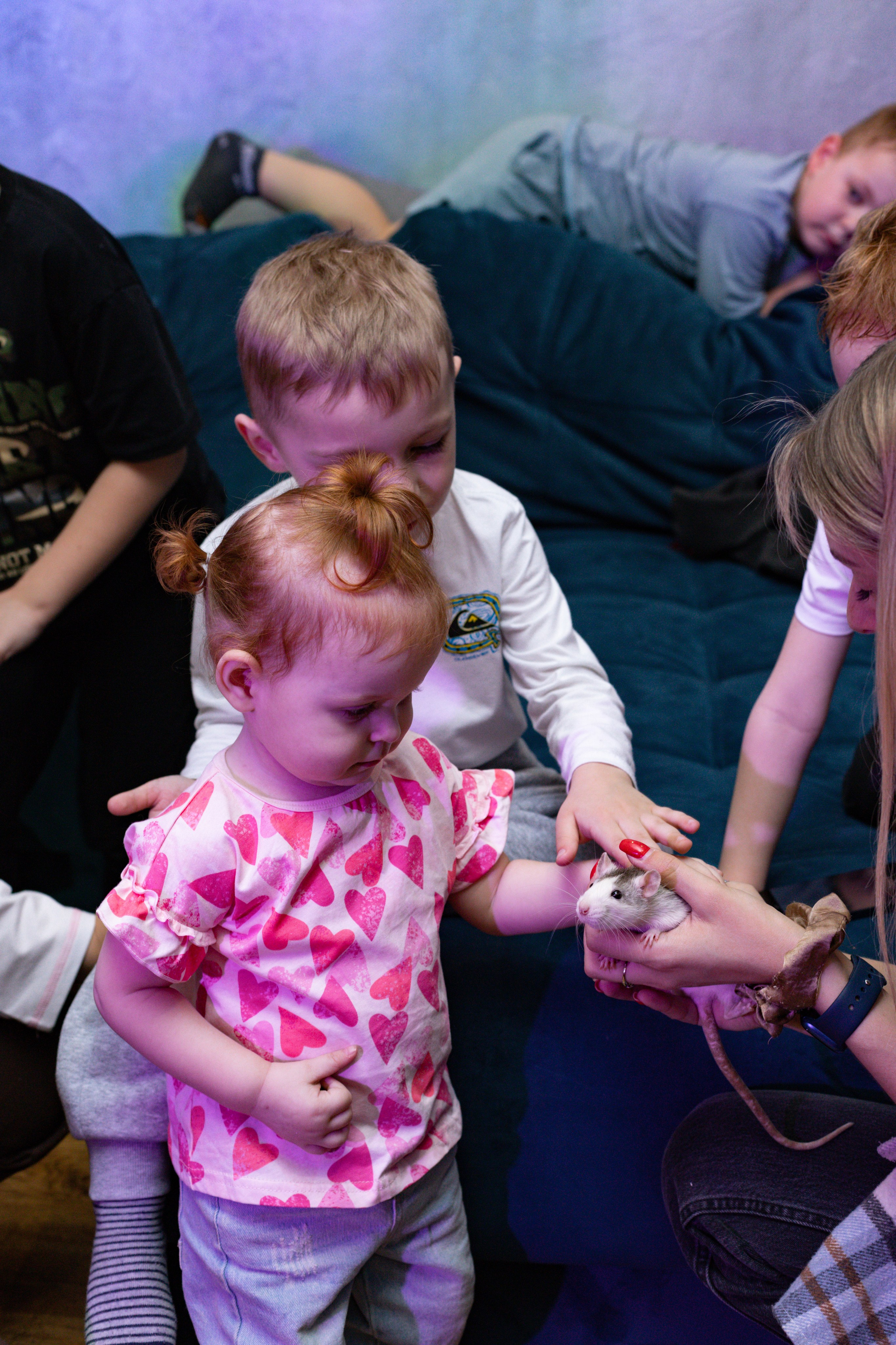 ZAHAR 5 YEAR / BIRTHDAY. Photokarish