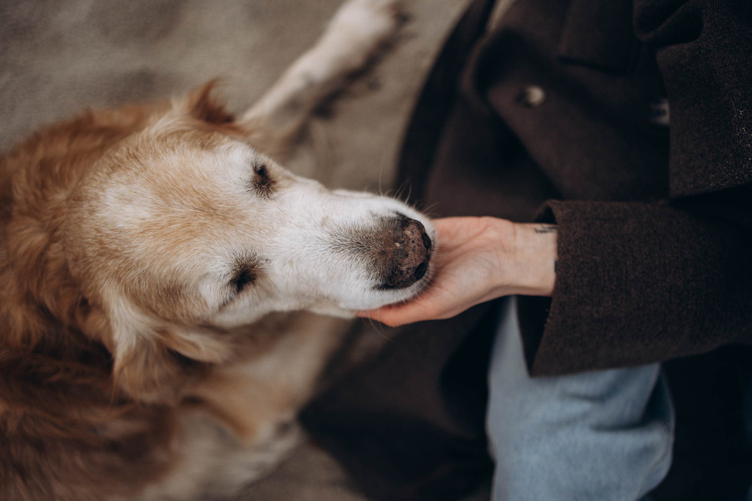 Юля и Максик. Фотограф — Анималист | Санкт-Петербург