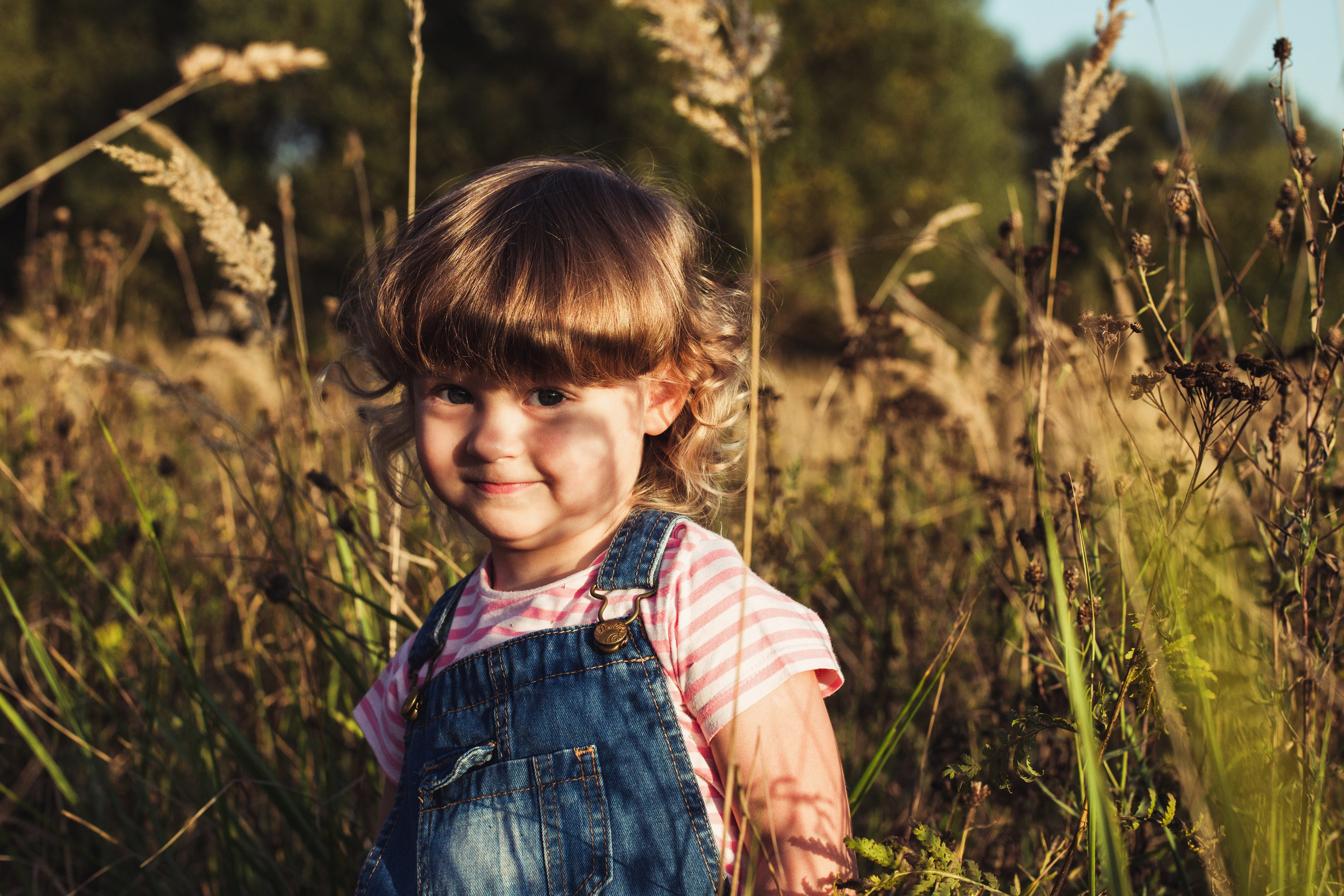 Мини-прогулка в поле. Семейный фотограф Фрязино Зрячева Кристина