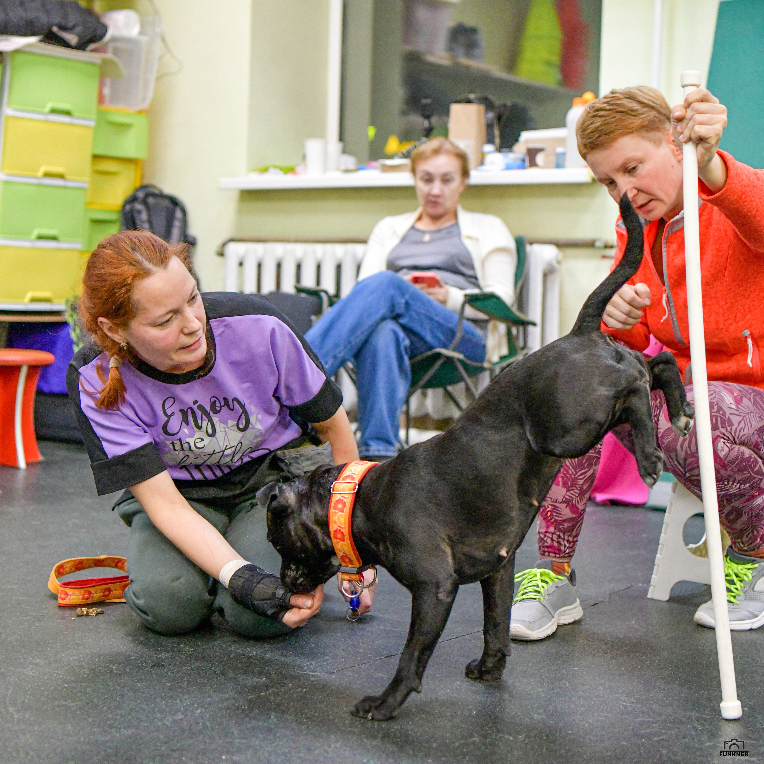 Кинологический клуб «Бодрый хвост». Свой взгляд через объектив