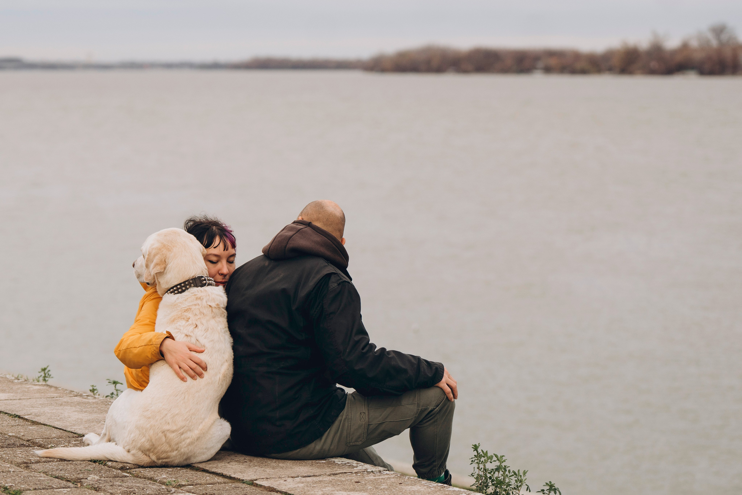 Вати, Лена и Леван. Фотограф анималист в Спб недорого Олеся Майорова
