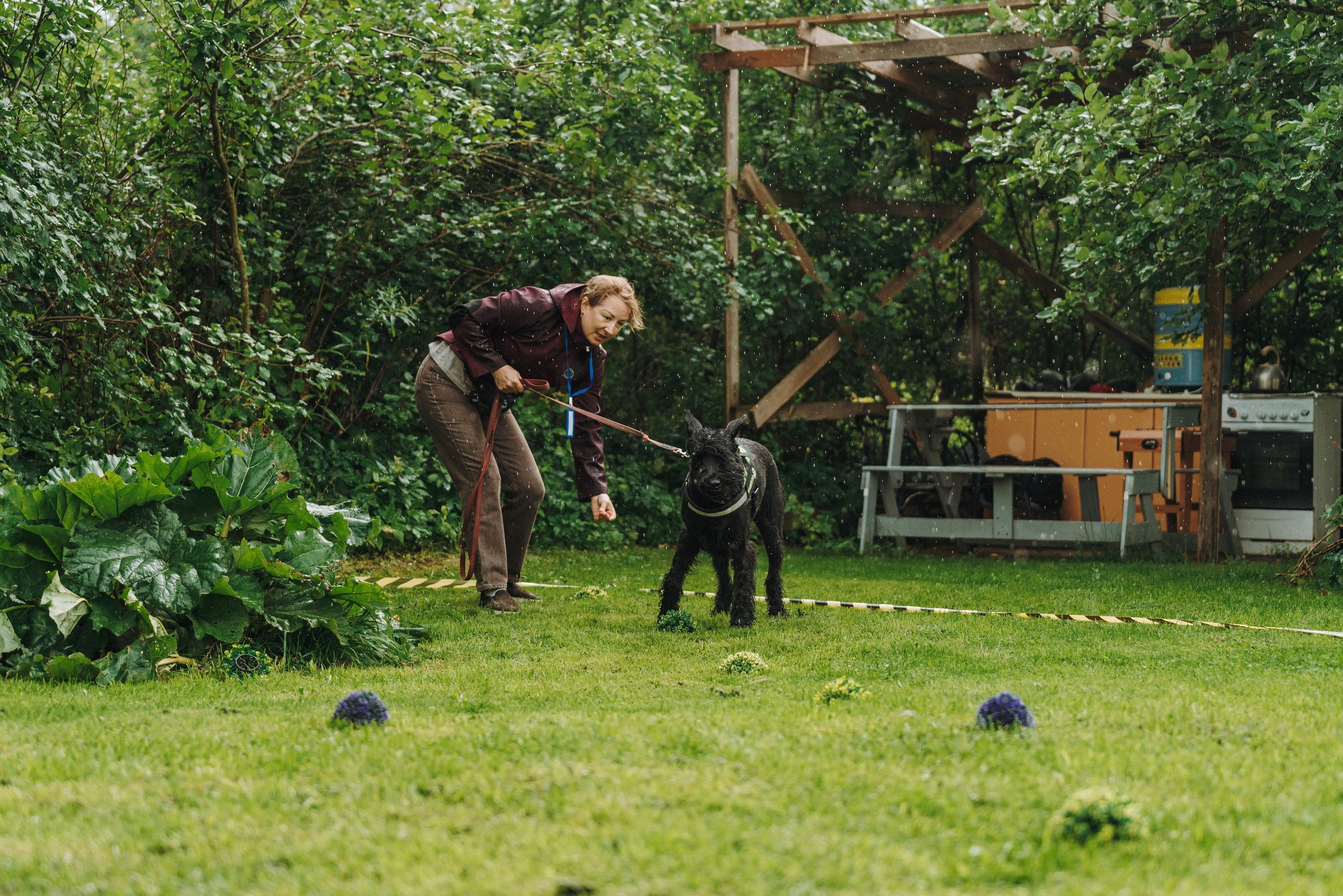 Соревнования по ноузворку в Новожилово. Фотограф анималист в Спб недорого Олеся Майорова
