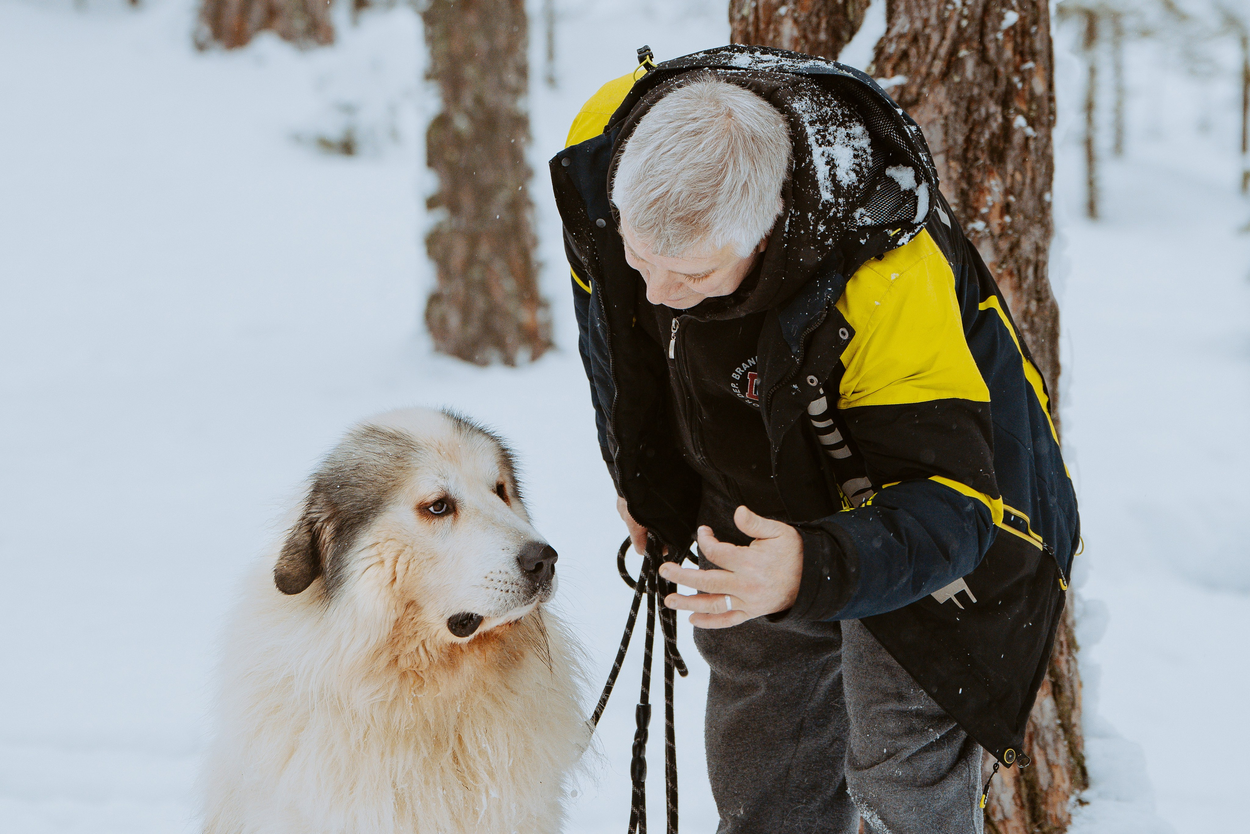 Фотограф питомцев в Санкт-Петербурге. Фотограф анималист в Спб недорого Олеся Майорова