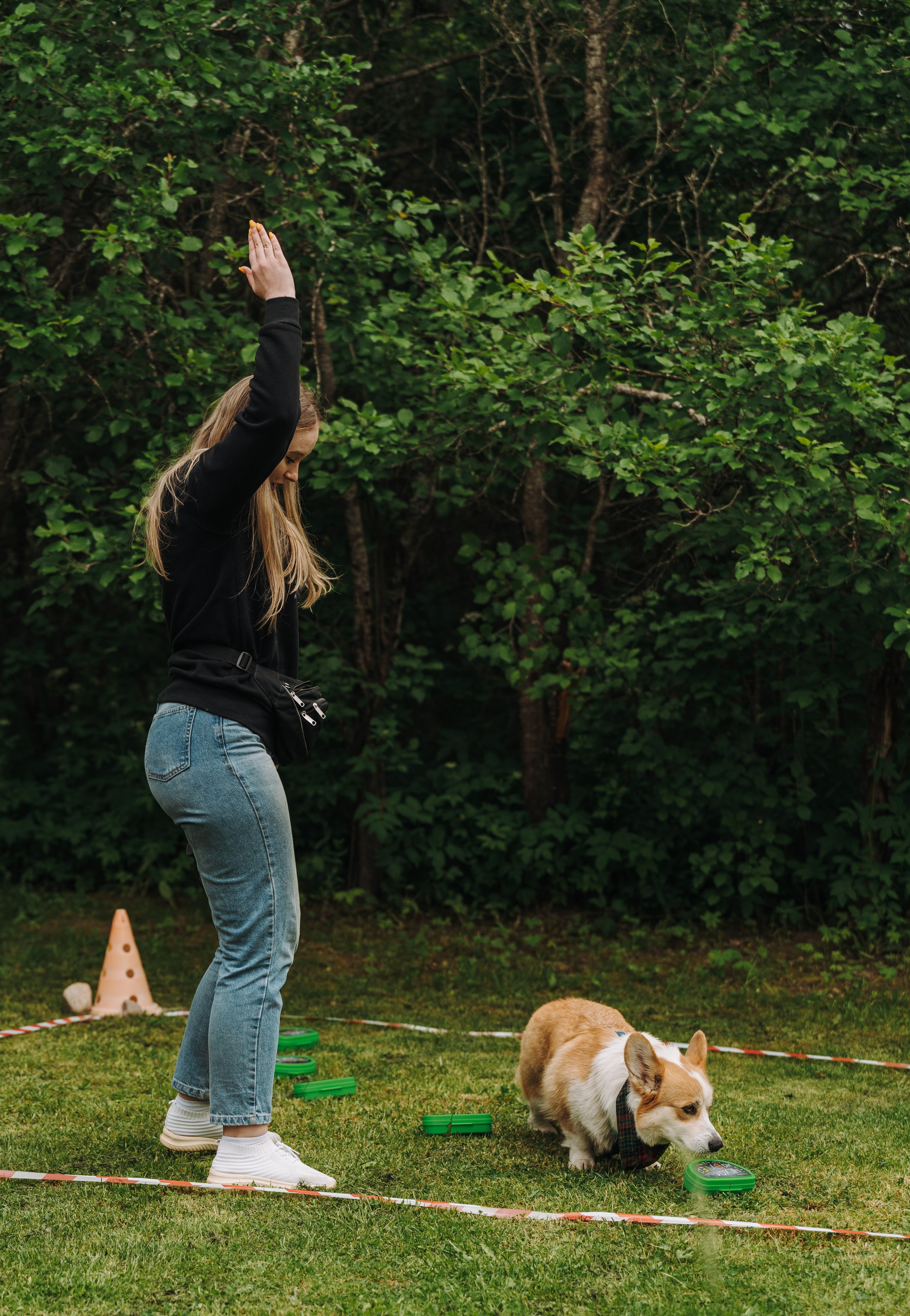 Соревнования по ноузворку. Фотограф анималист в Спб недорого Олеся Майорова