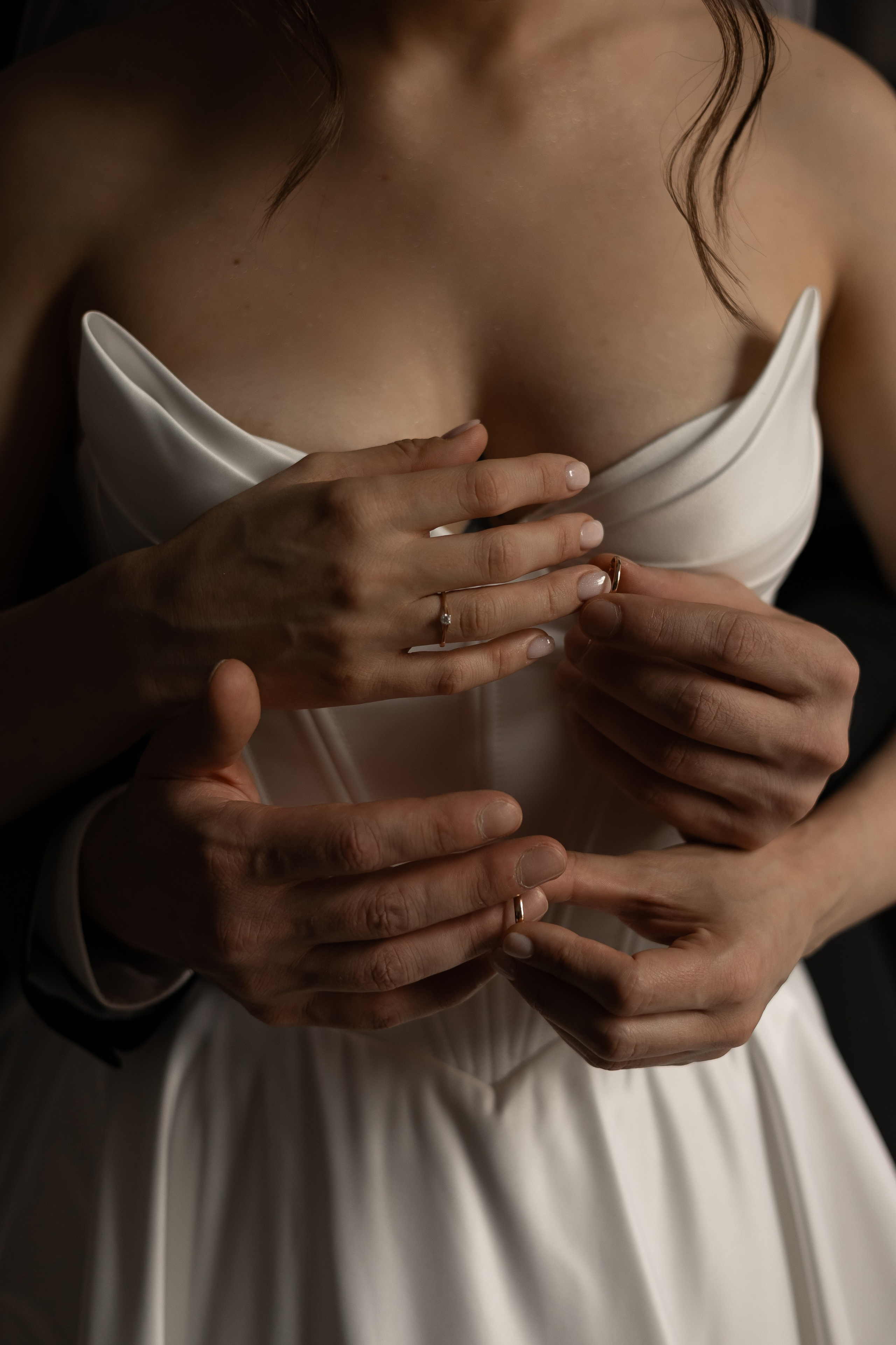 Серая кошка и рыжий кот. Свадебный и семейный фотограф Арина Кулёва