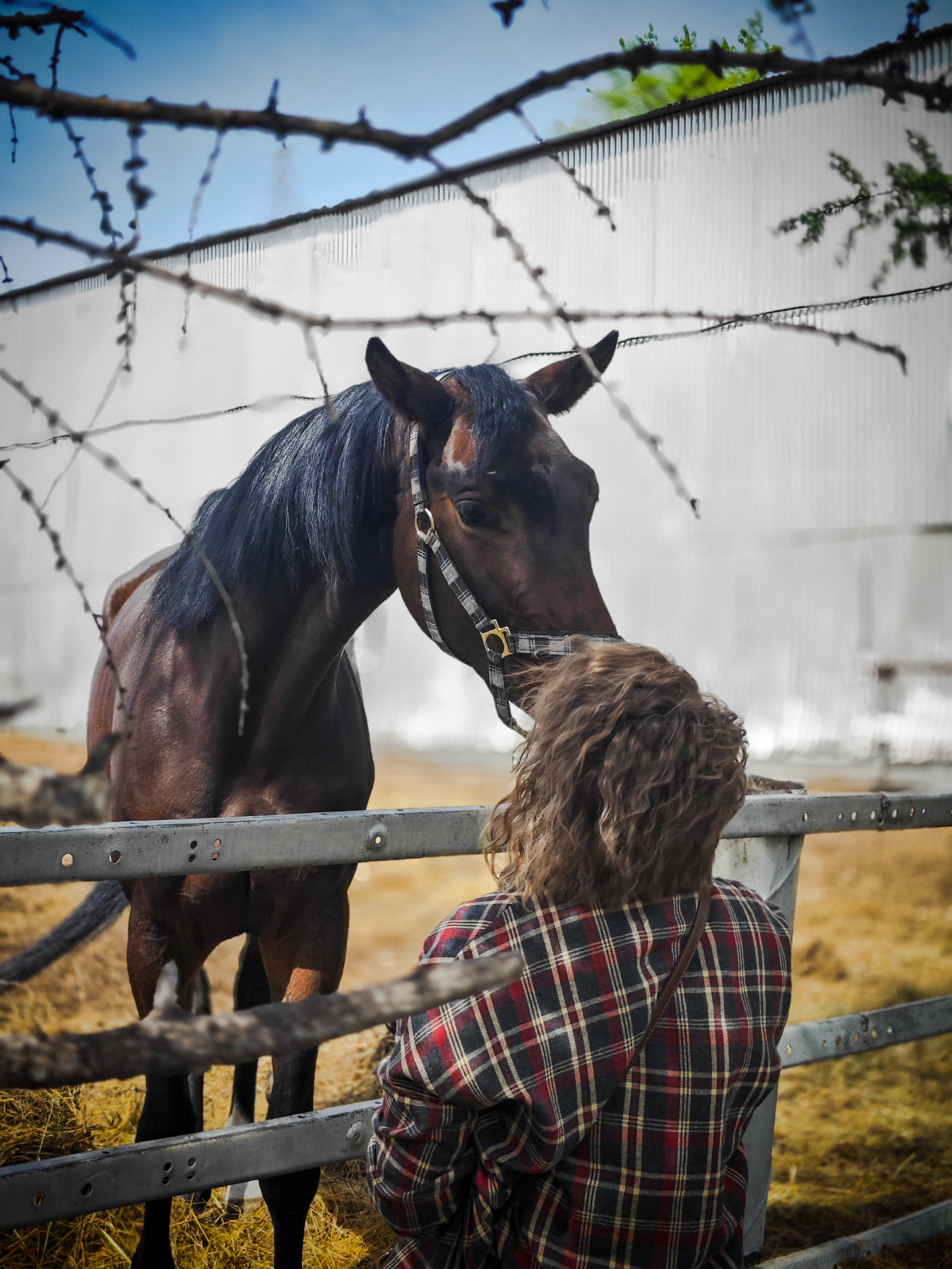 Красноярский ипподром. Открытие сезона 2025. Игорь Урывский. Фотограф Красноярск