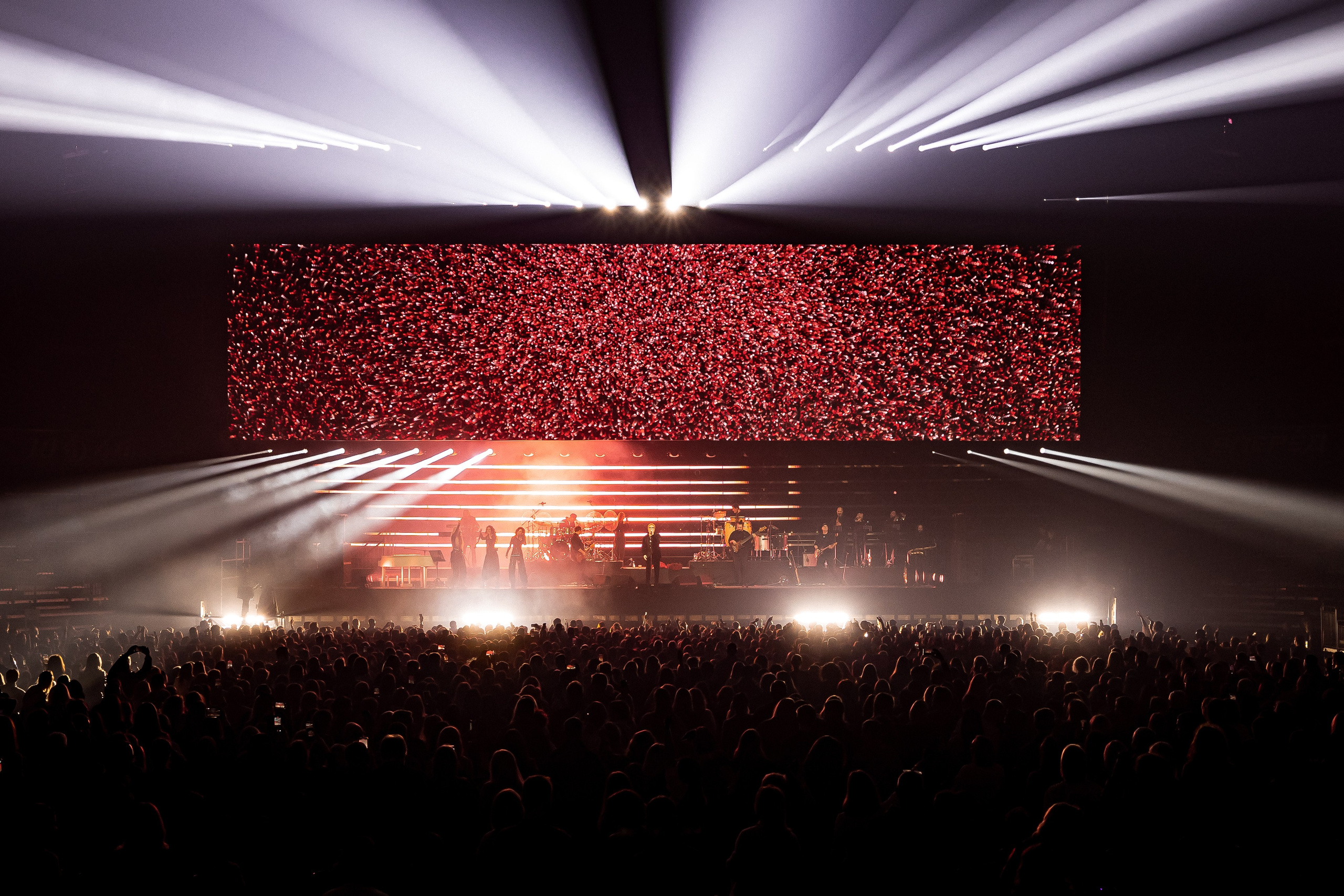 ВЛАДИМИР ПРЕСНЯКОВ / 2024. OOPS