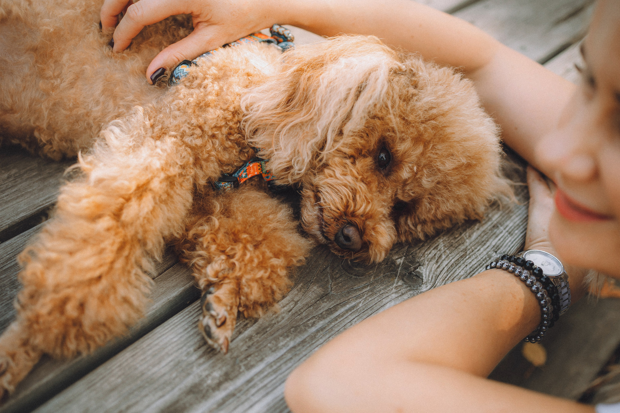 Марина и Филя