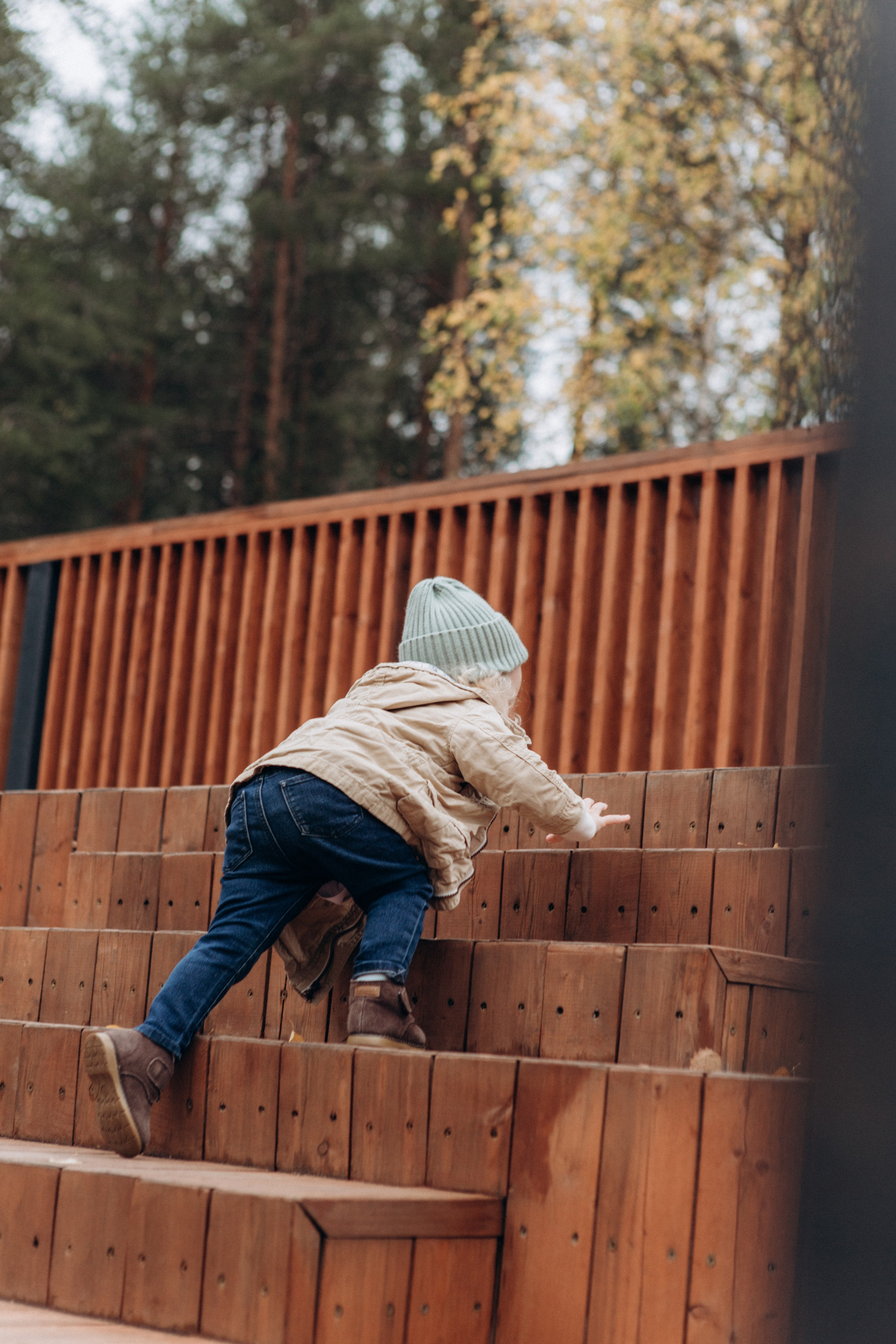 «Осенние лучики». Фотограф в Ухте