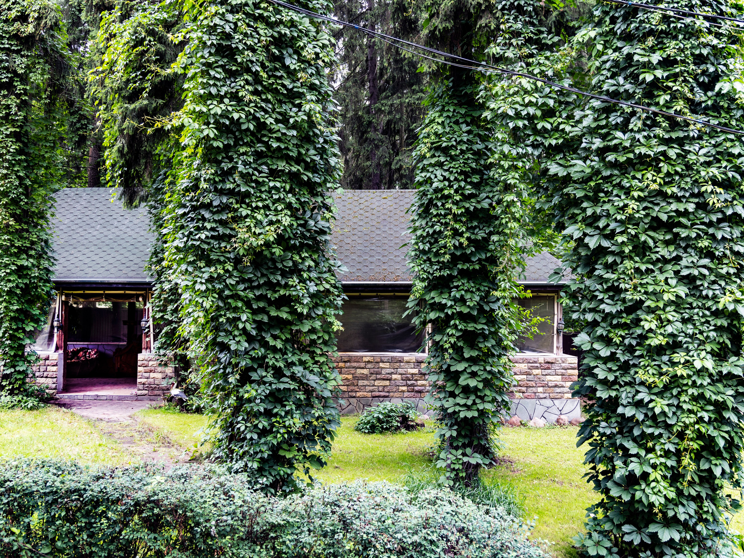 Фотограф Татьяна Марсуверских г. Жуковский, Москва и Мо. Репортажные съёмки, фотосессии. Детский, семейный фотограф. Фотограф для маркетплейсов, фотоуслуги в Жуковском Татьяна Марсуверских