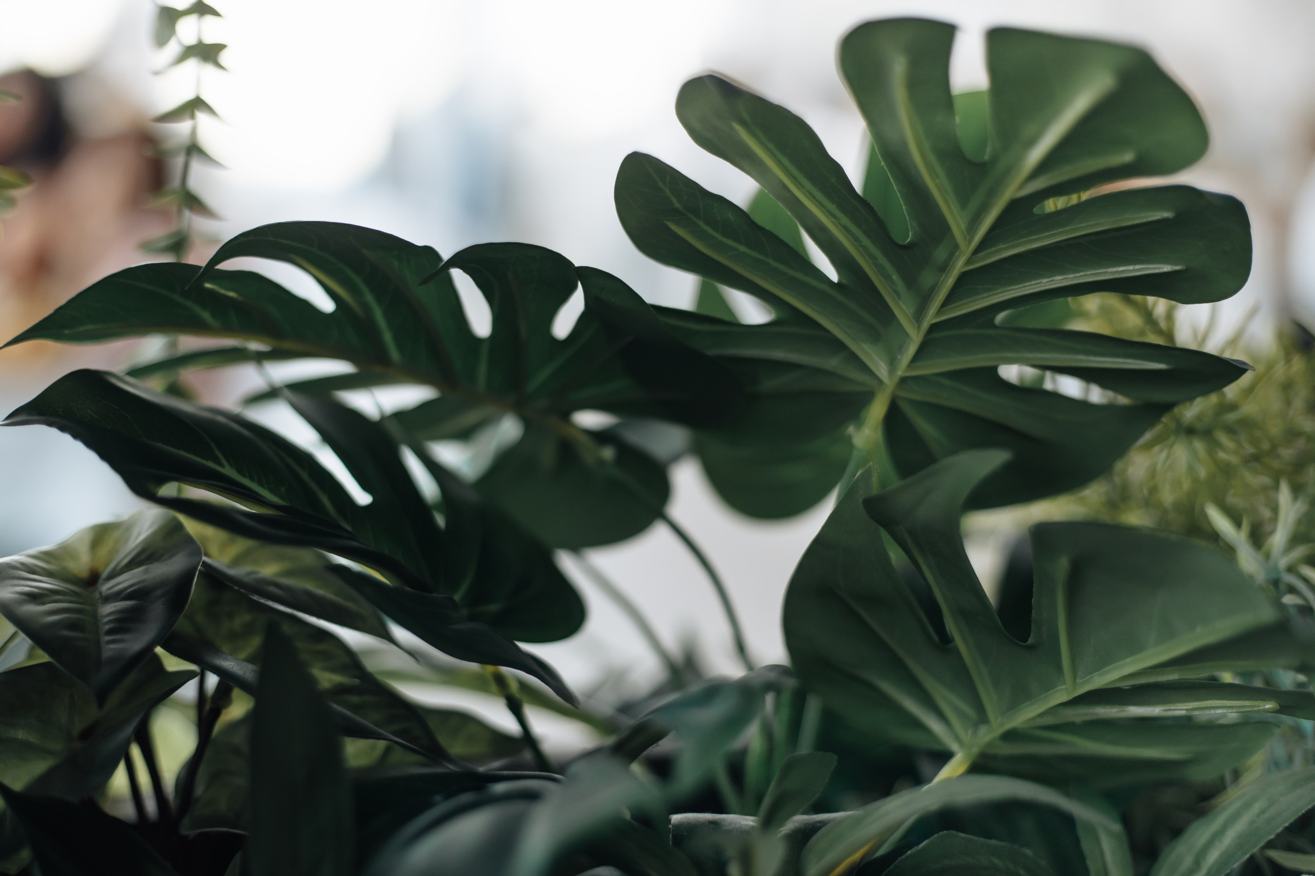 Елизавета и Руслан. Свадебный и семейный фотограф в Краснодарском крае Мария Данилкина