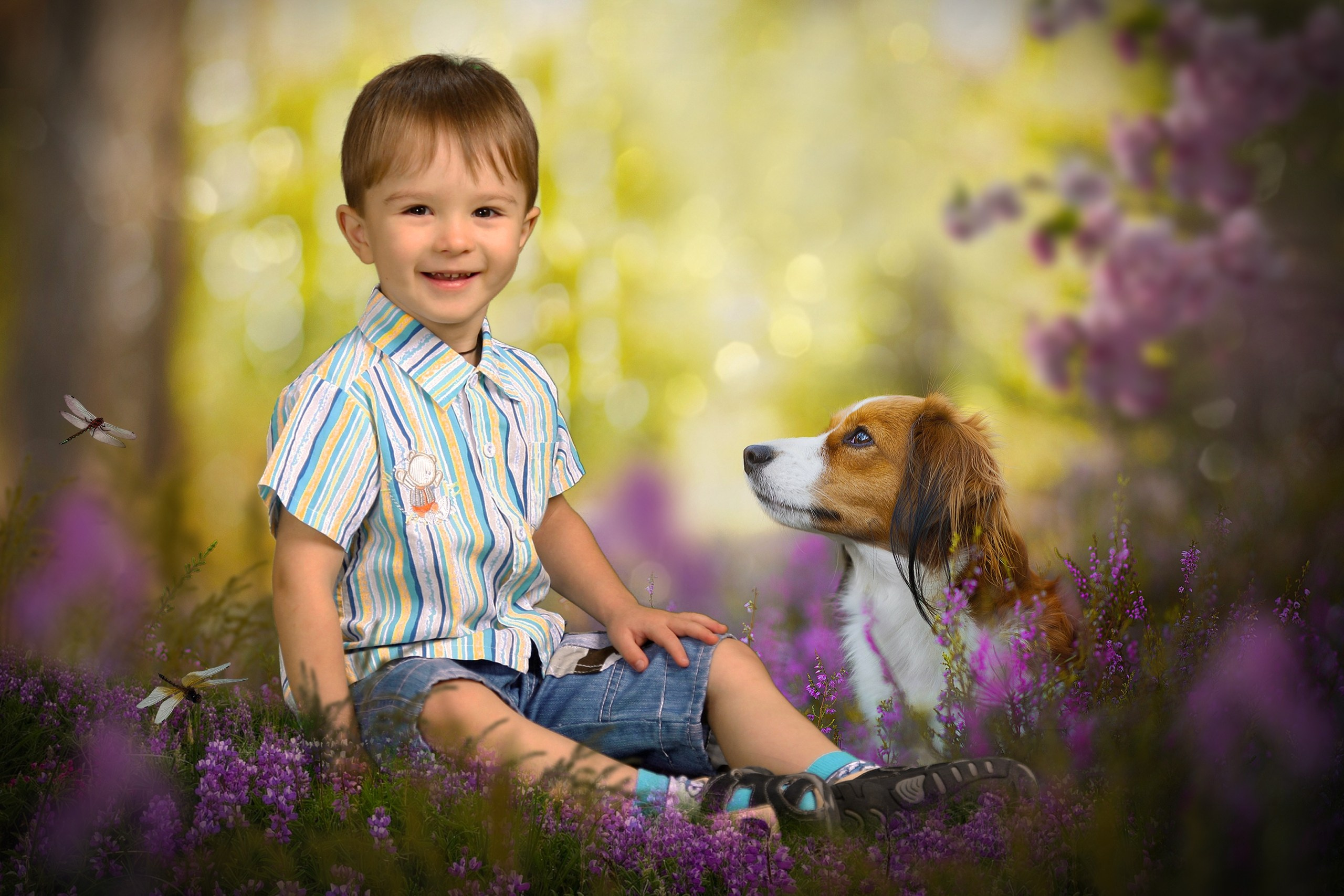 ОСЕНЬ. Выпускные фотокниги, фотосъемка, видеосъемка в Челябинске и области
