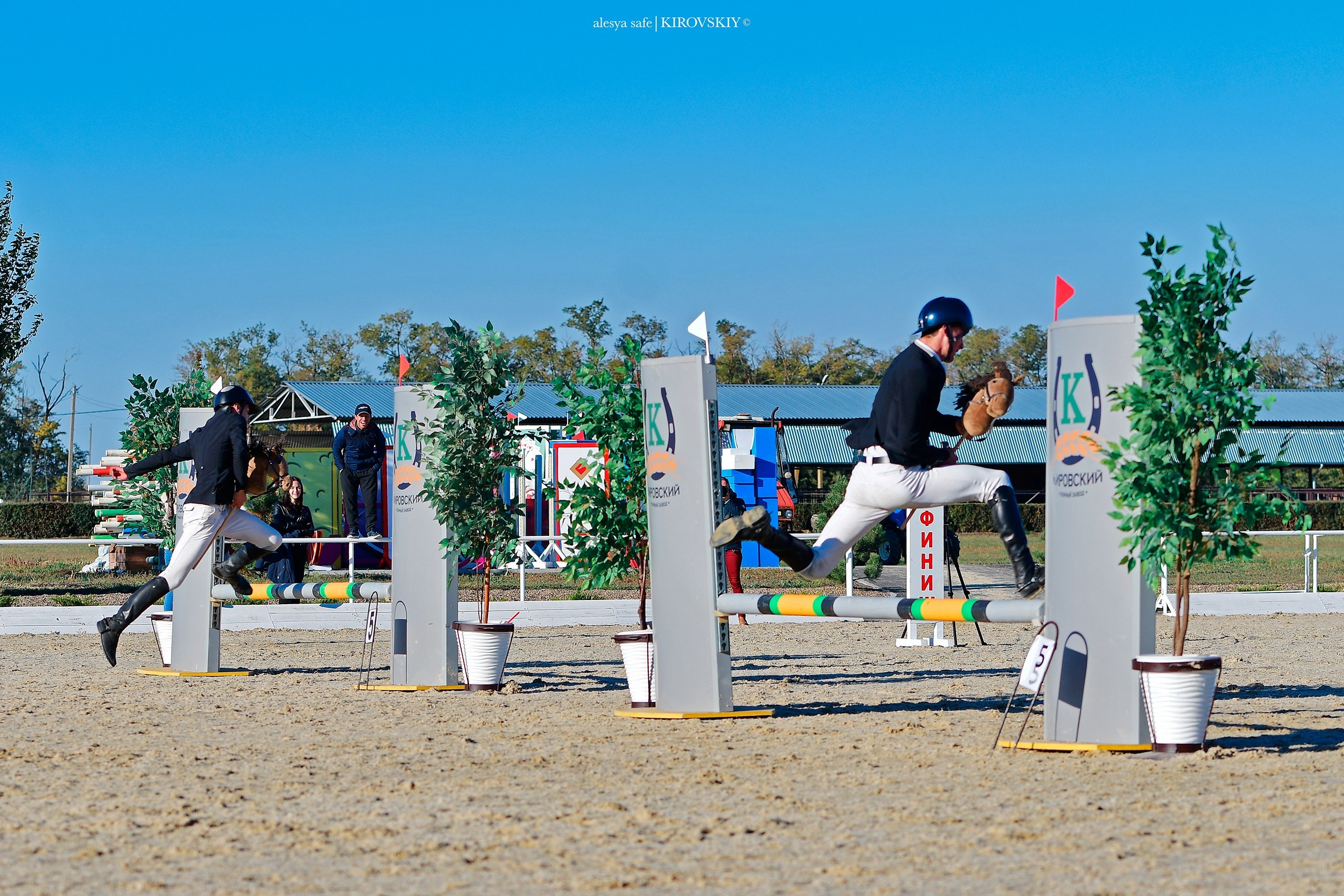 Кировский конный завод. Конный фотограф Alesya Safe