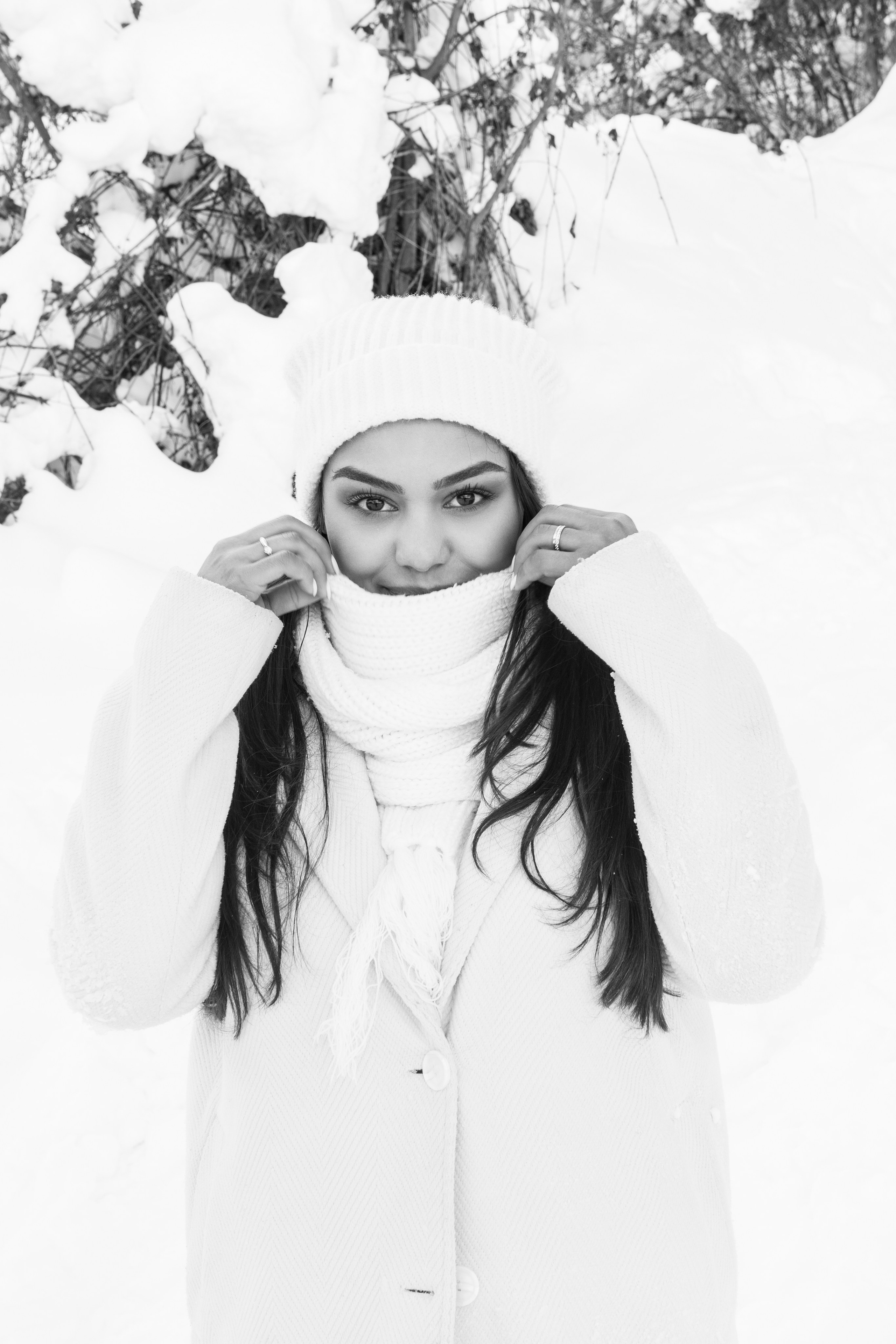 Снежинки. Գլխավոր