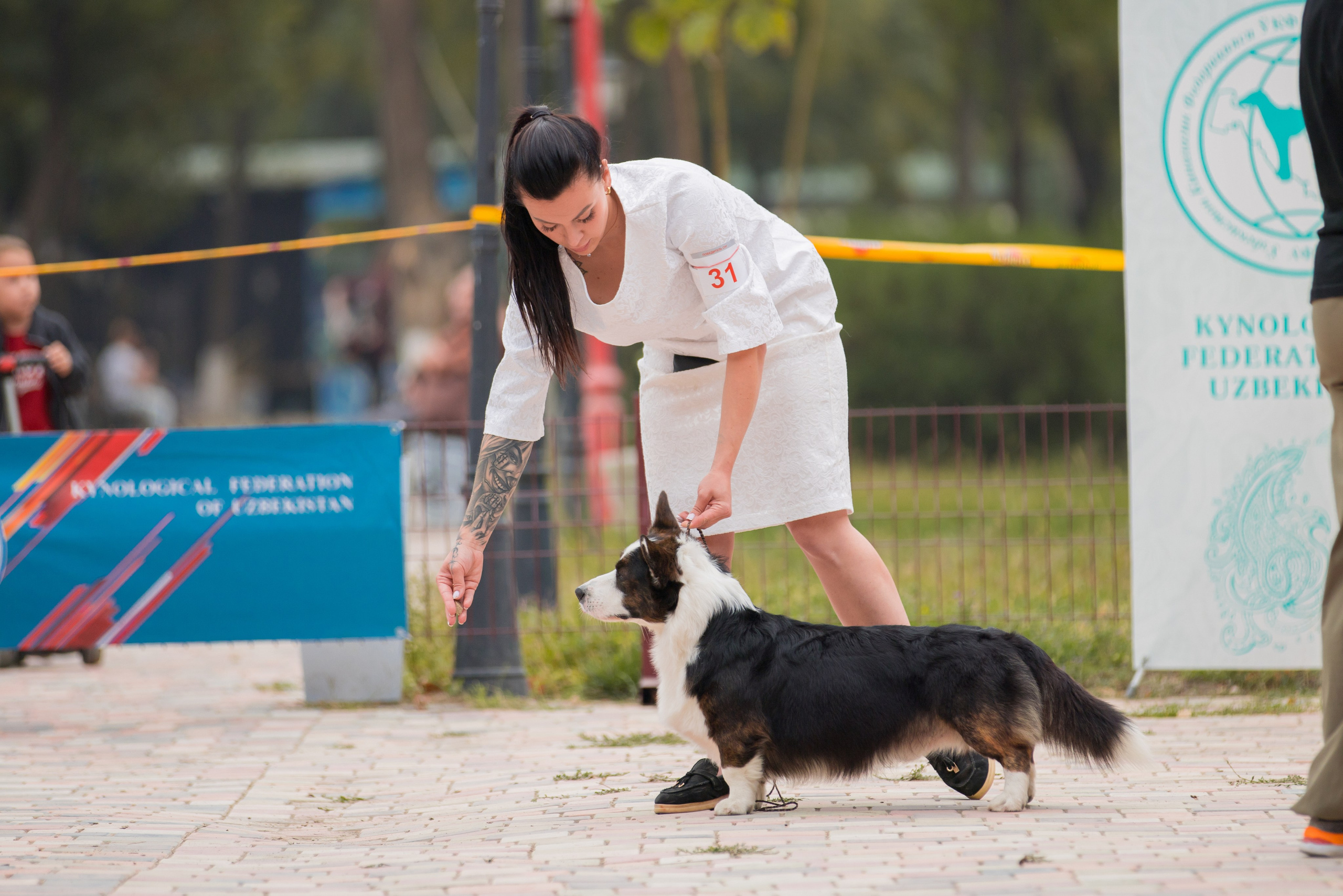 Ташкент 6-8.10.2023 + Алматы 14-15.10.2023. Фотограф-анималист Юлия Германика