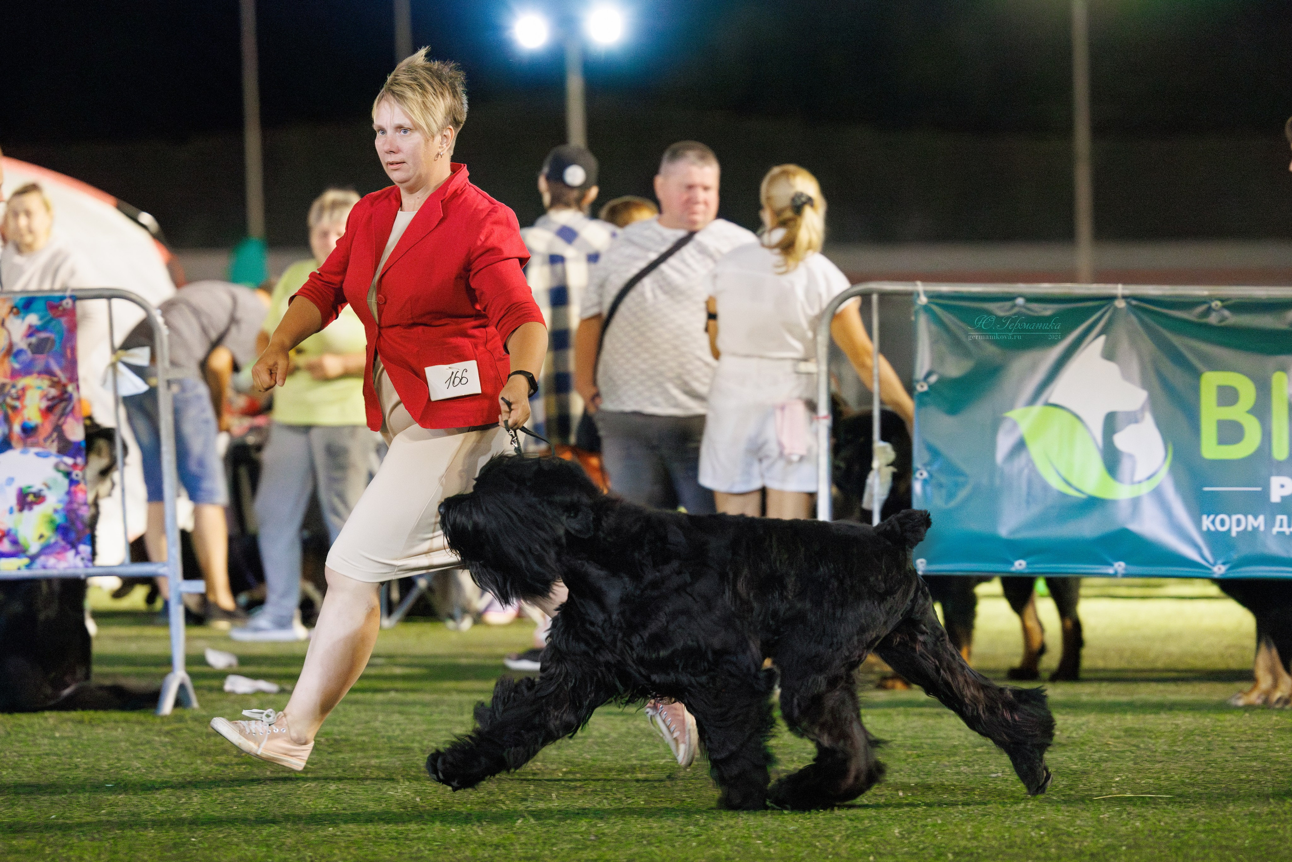 Волгоград 2-4.08.2024. Фотограф-анималист Юлия Германика