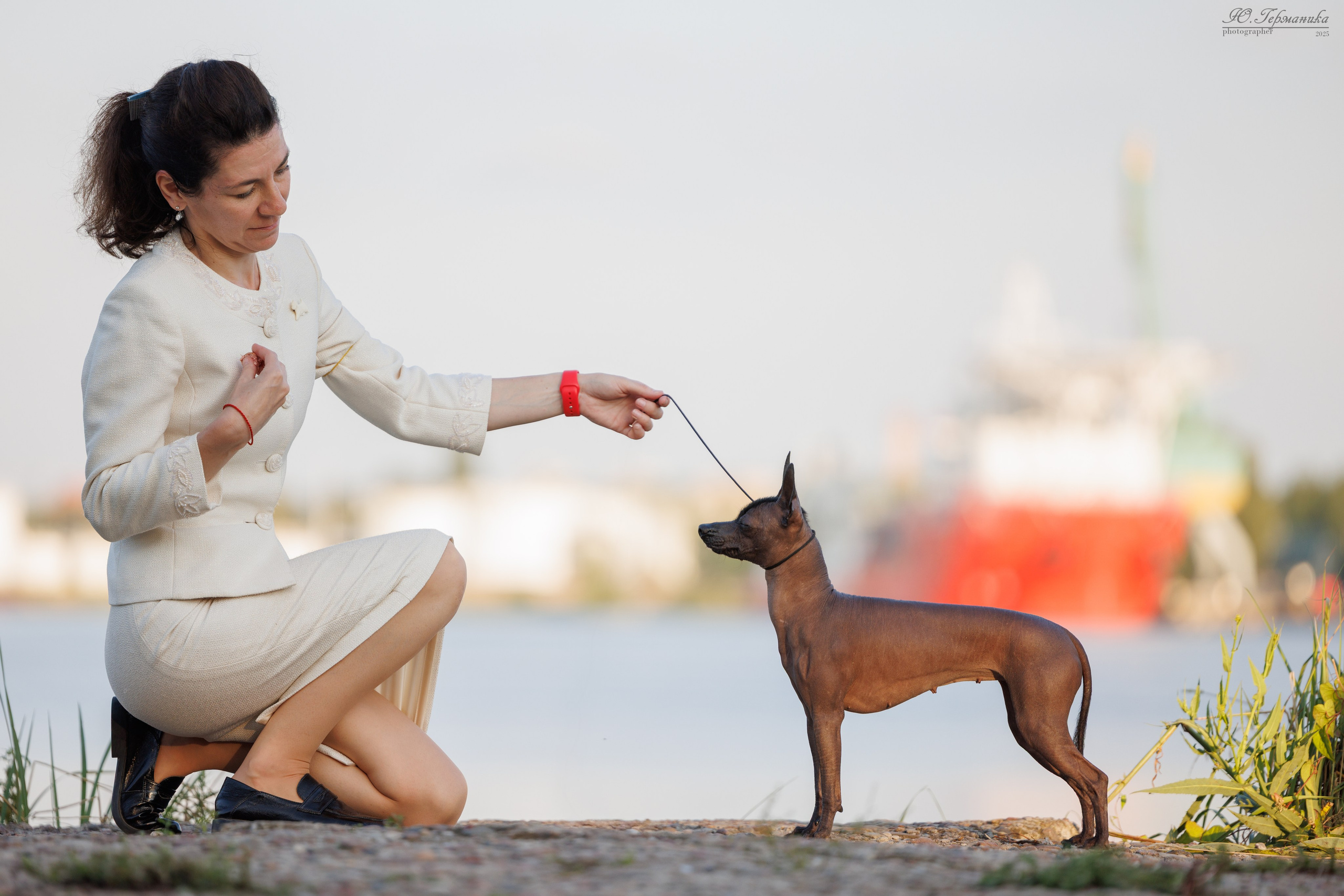 Калининград 25-27.07 Волгоград 1-3.08 2025. Фотограф-анималист Юлия Германика